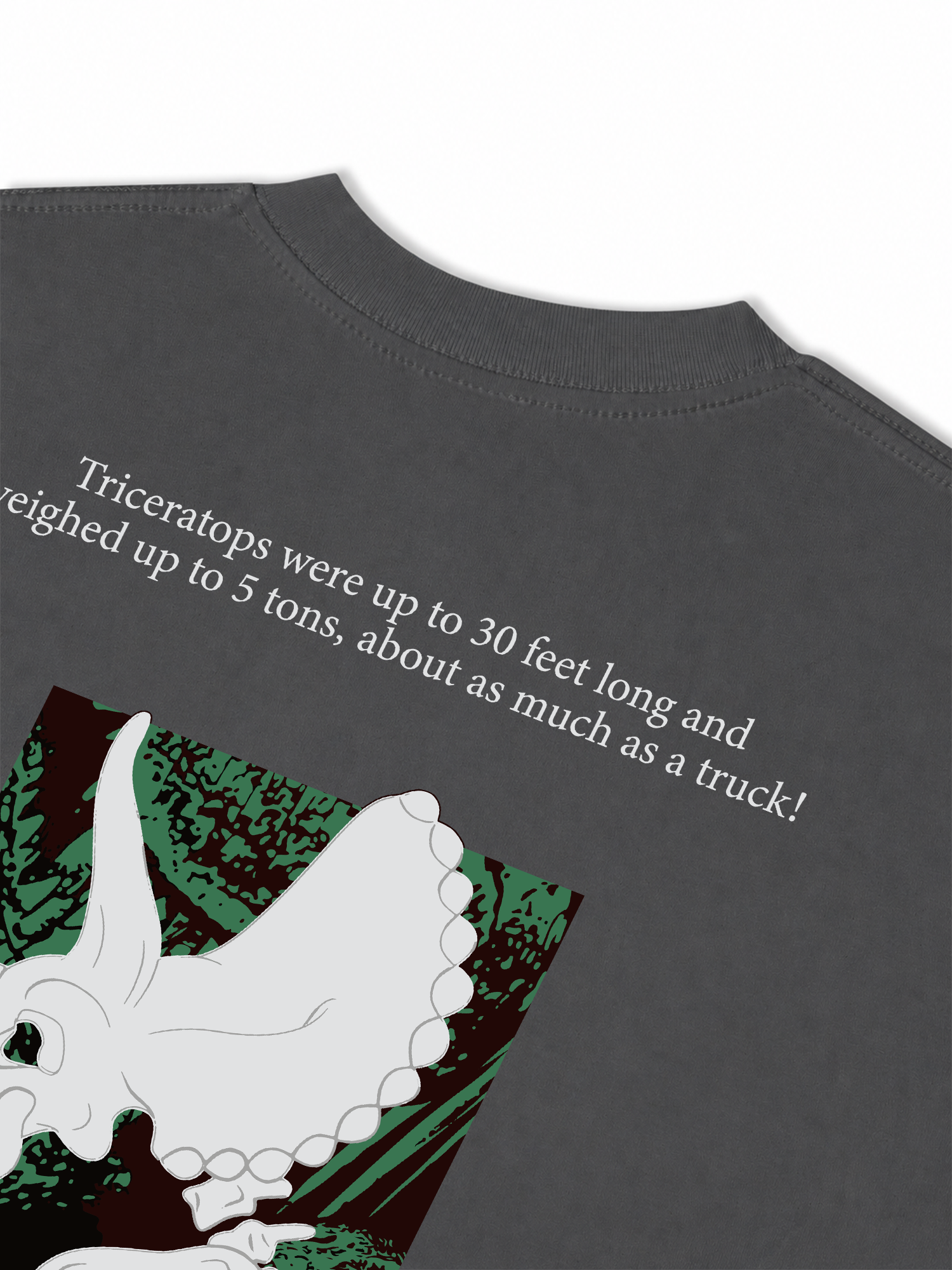 Áo Thun Relaxed Fit Triceratops