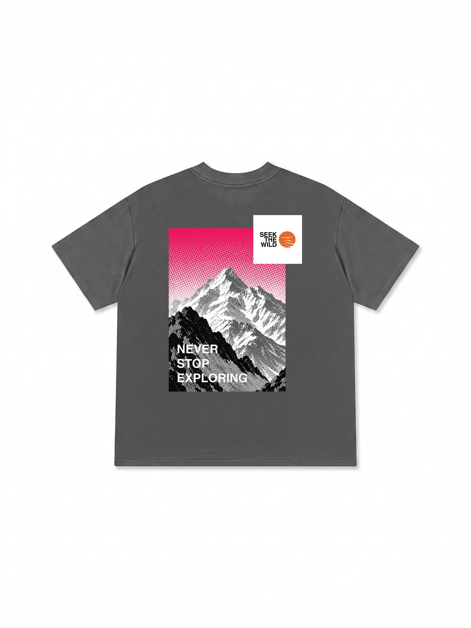 Áo Thun Relaxed Fit Adventure Seek The Wild 17