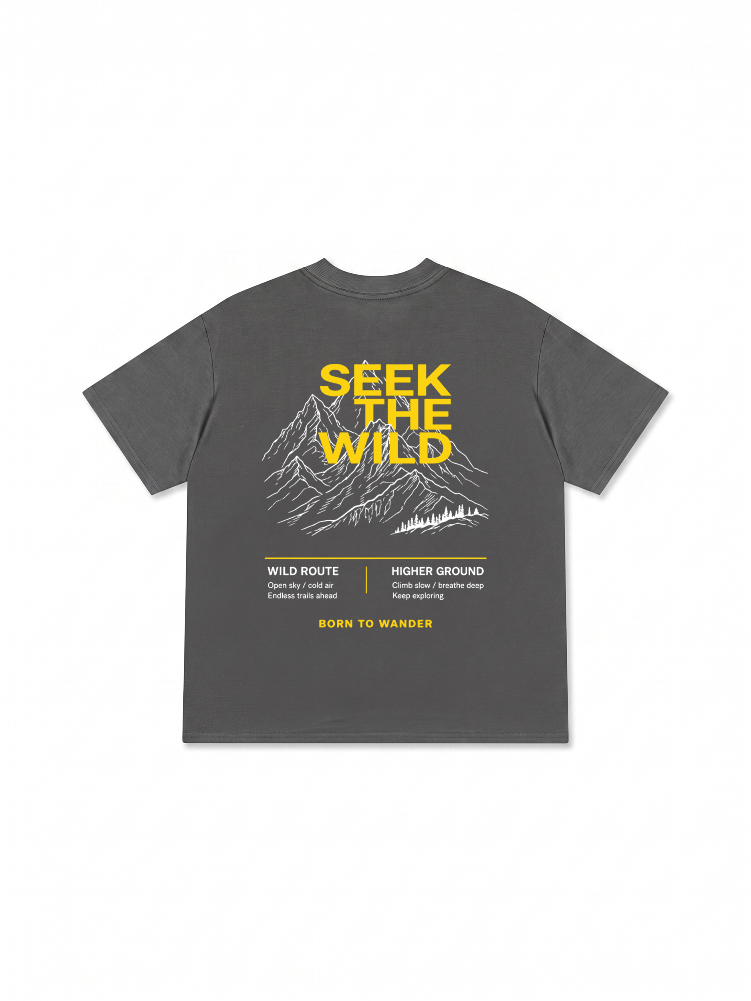 Áo Thun Relaxed Fit Adventure Seek The Wild 2
