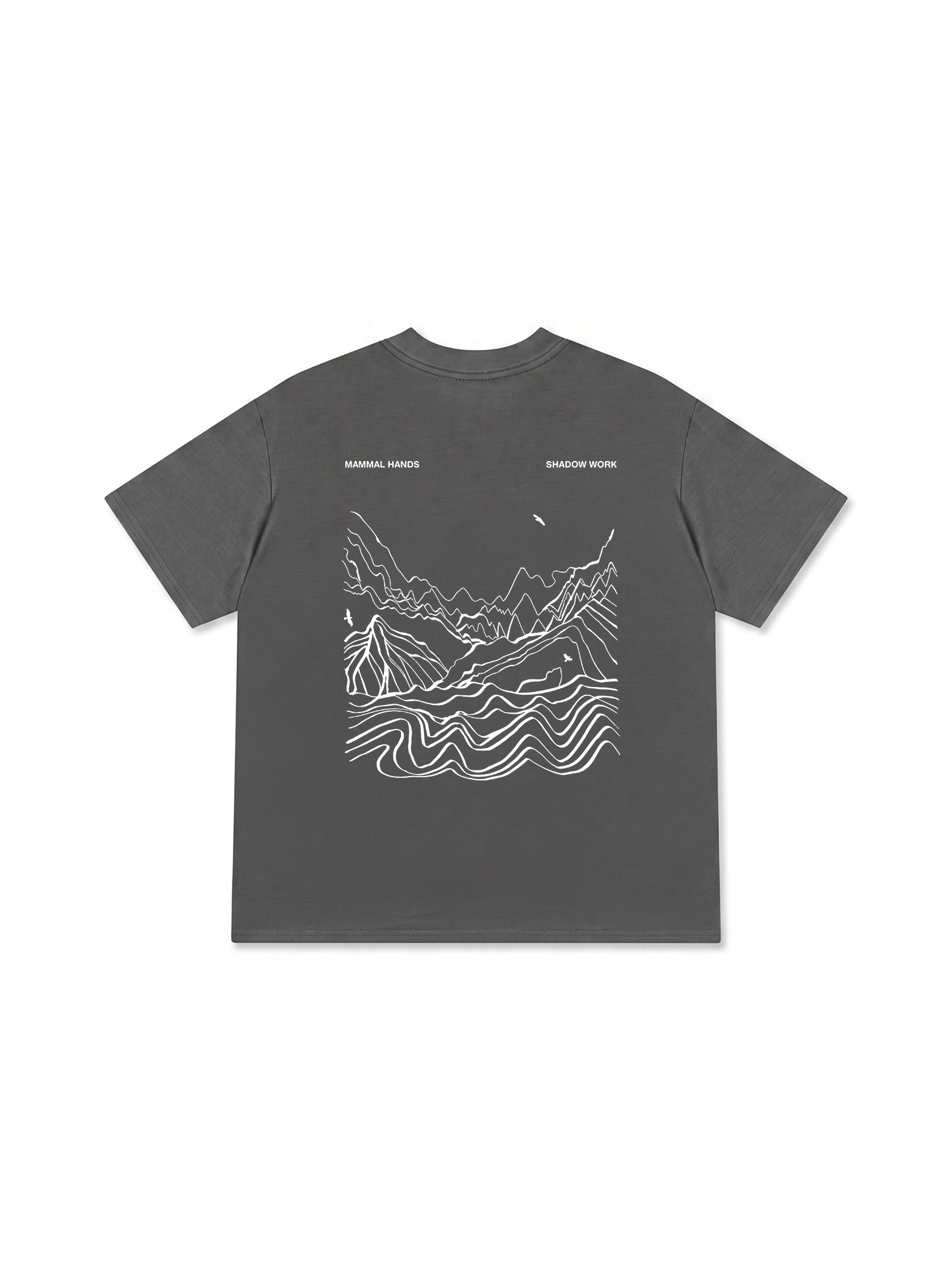 Áo Thun Relaxed Fit Adventure Mammal Hands Shadow Work
