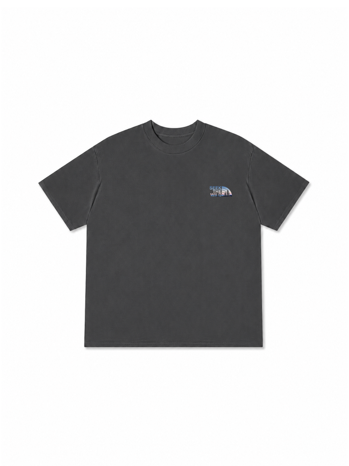 Áo Thun Relaxed Fit Adventure STW Wild Horizon