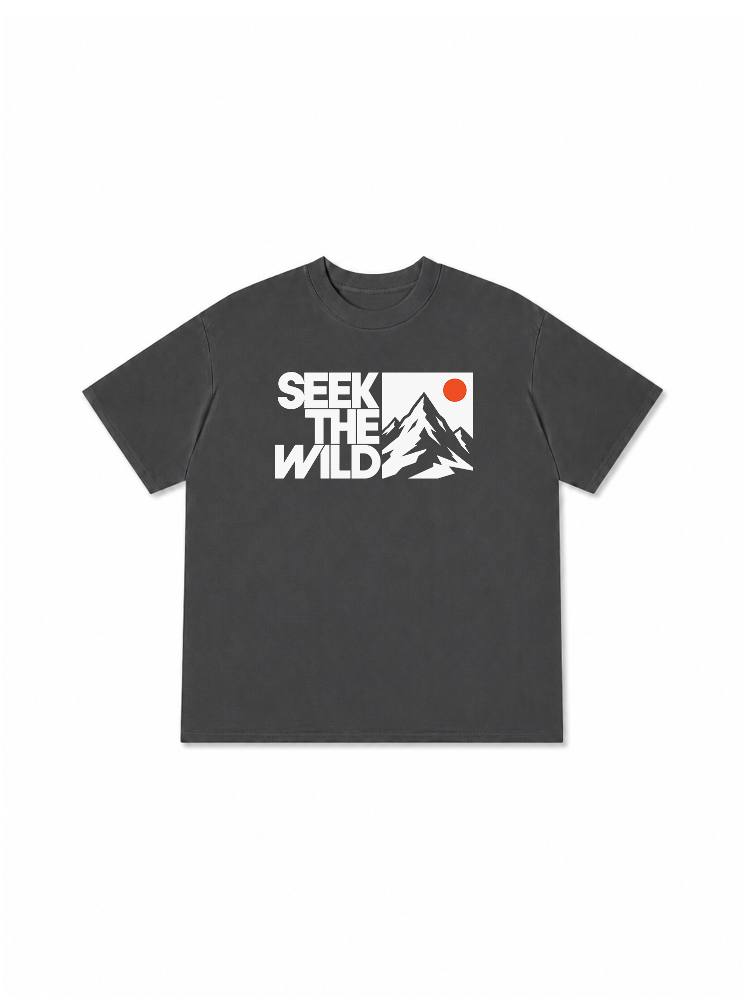 Áo Thun Relaxed Fit Adventure Seek The Wild 7