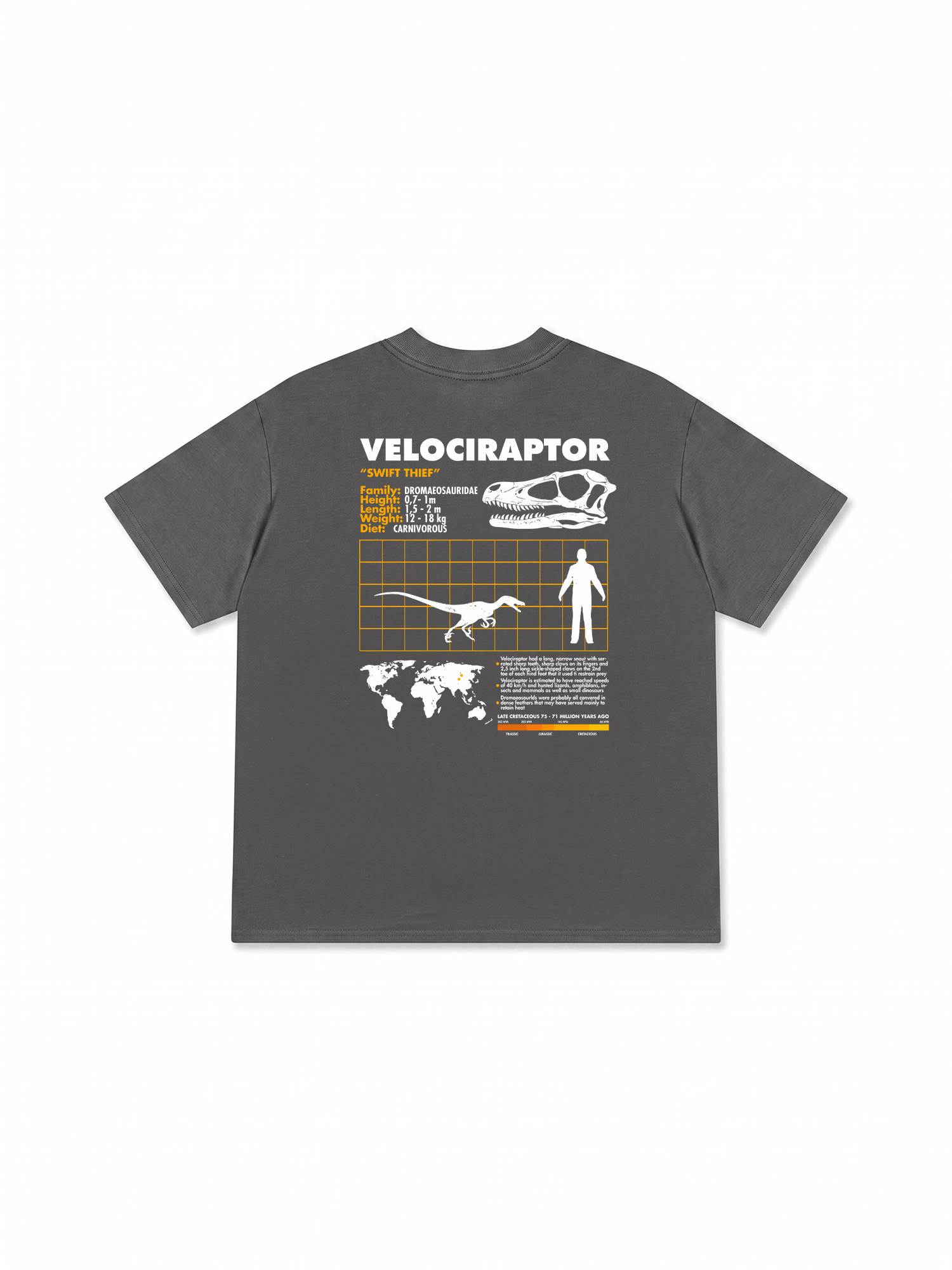 Áo Thun Relaxed Fit Analysis Table Velociraptor