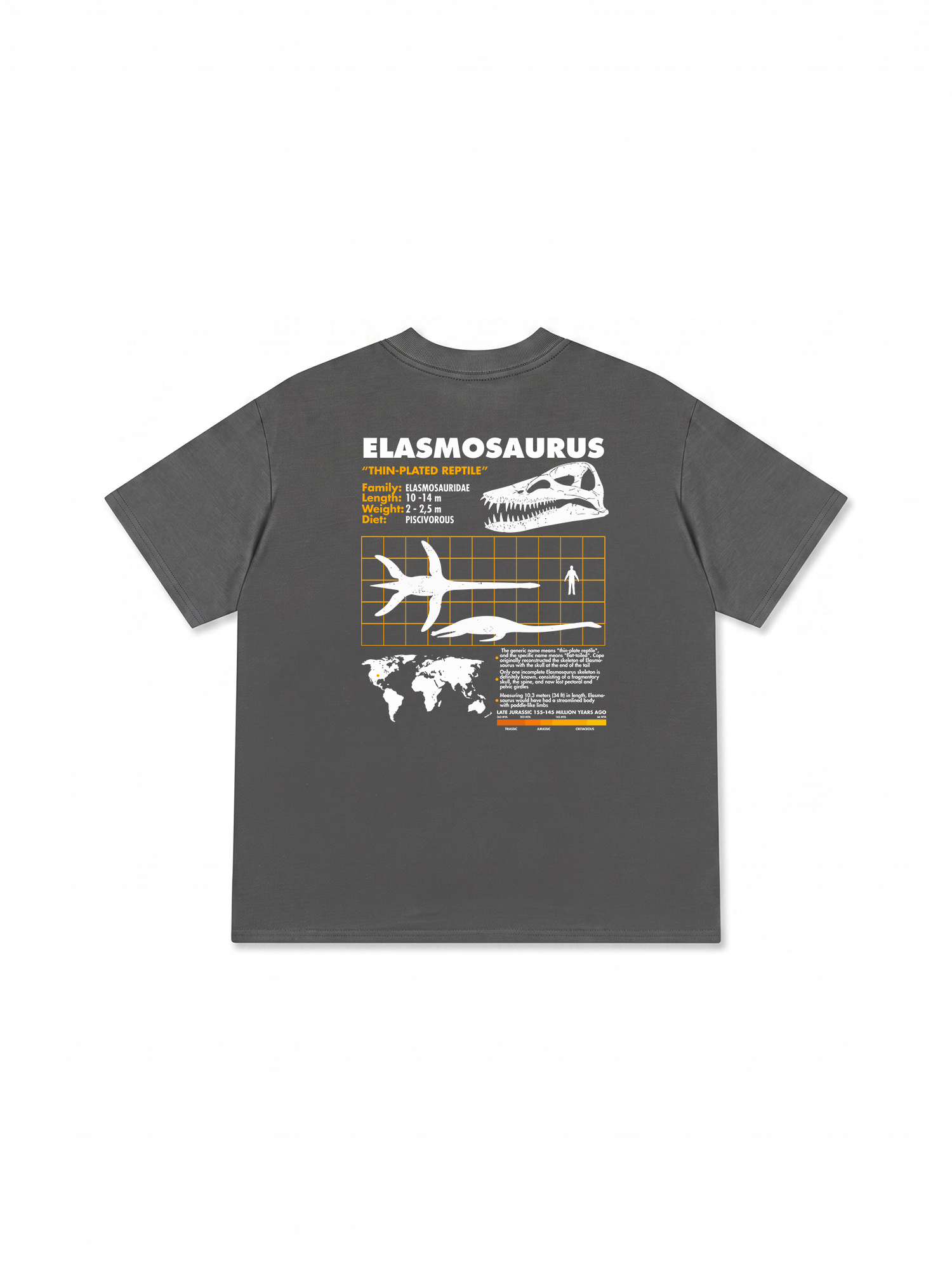 Áo Thun Relaxed Fit Analysis Table Elasmosaurus