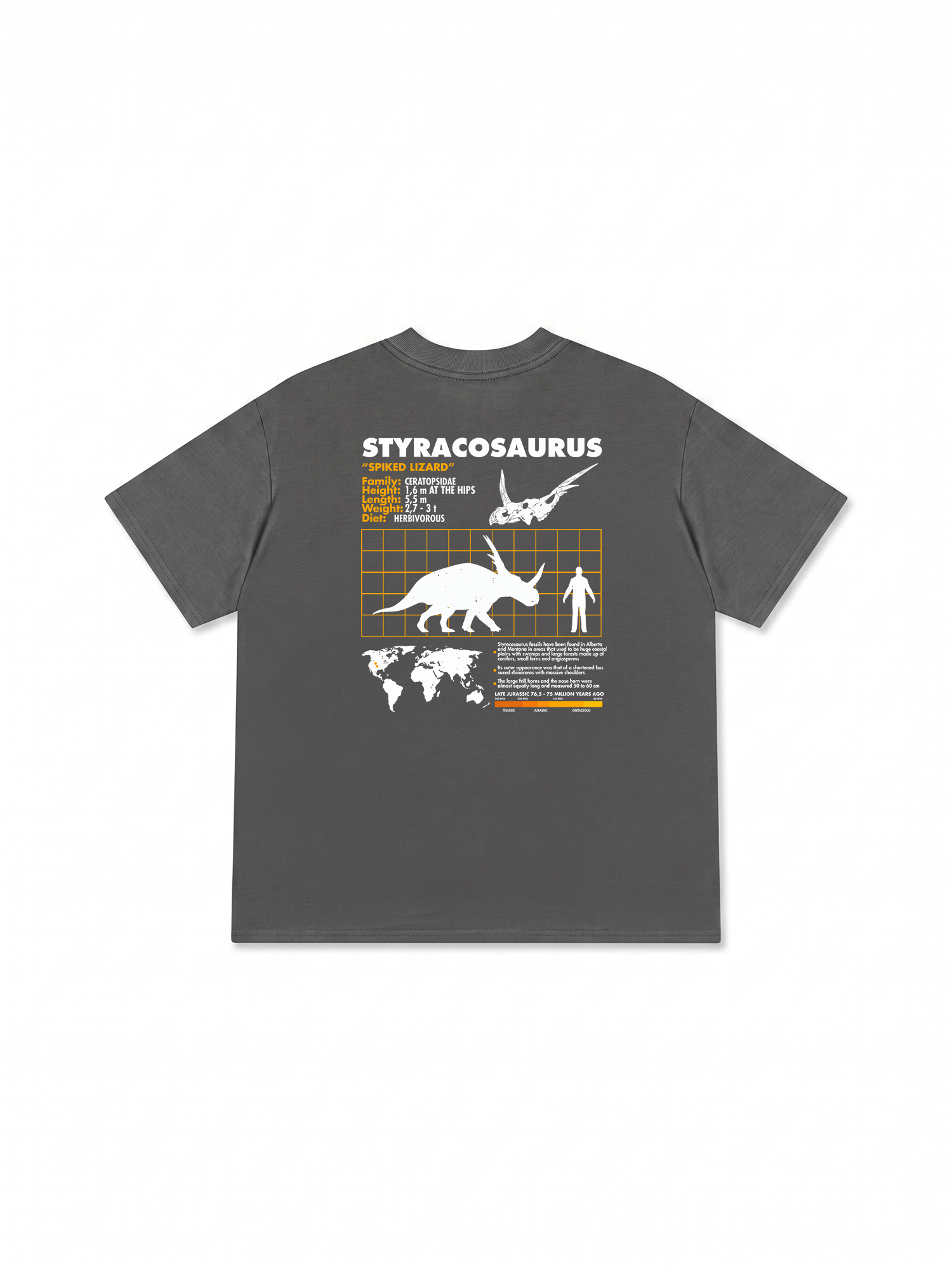 Áo Thun Relaxed Fit Analysis Table Styracosaurus