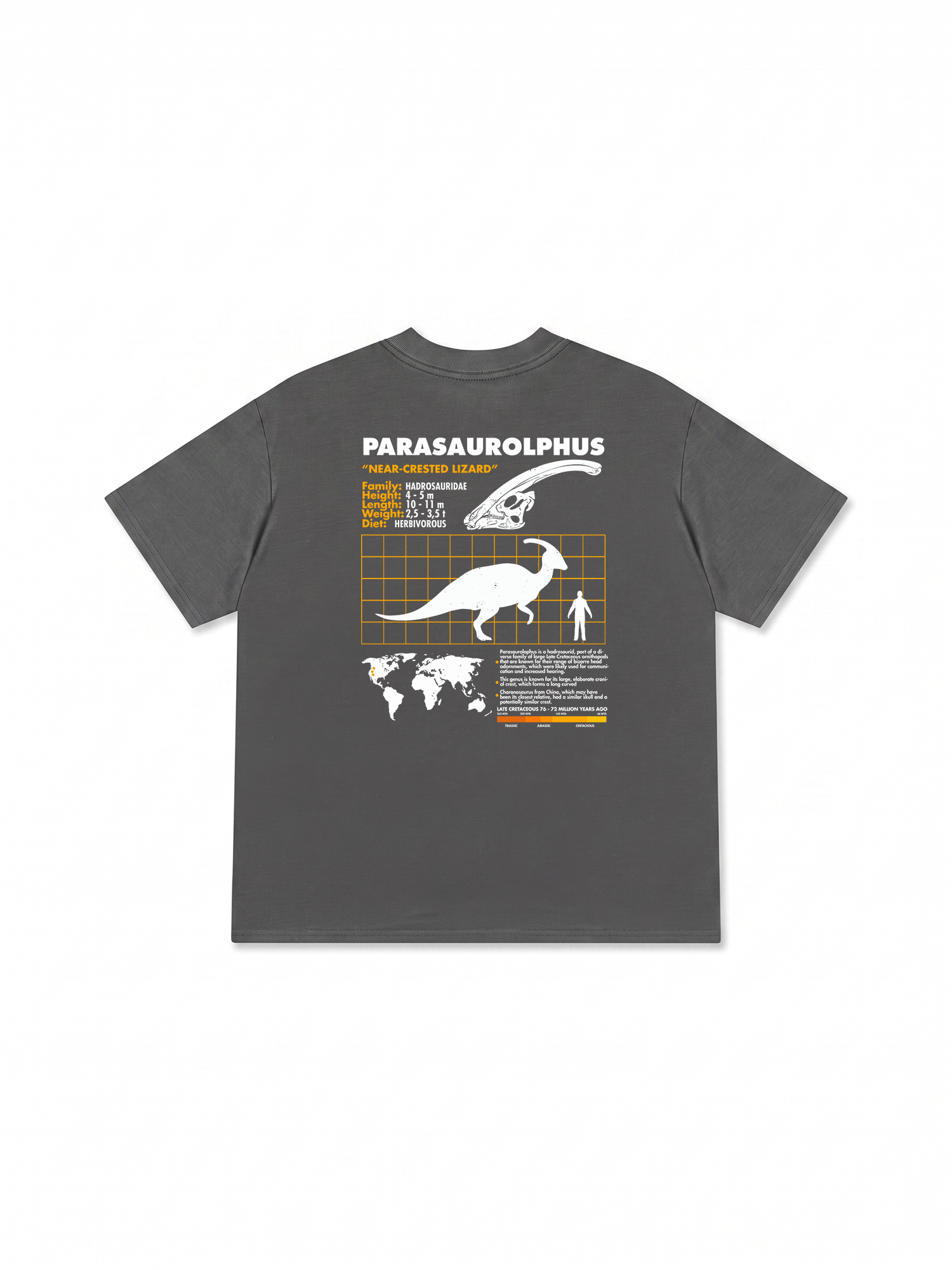 Áo Thun Relaxed Fit Analysis Table Parasaurolphus