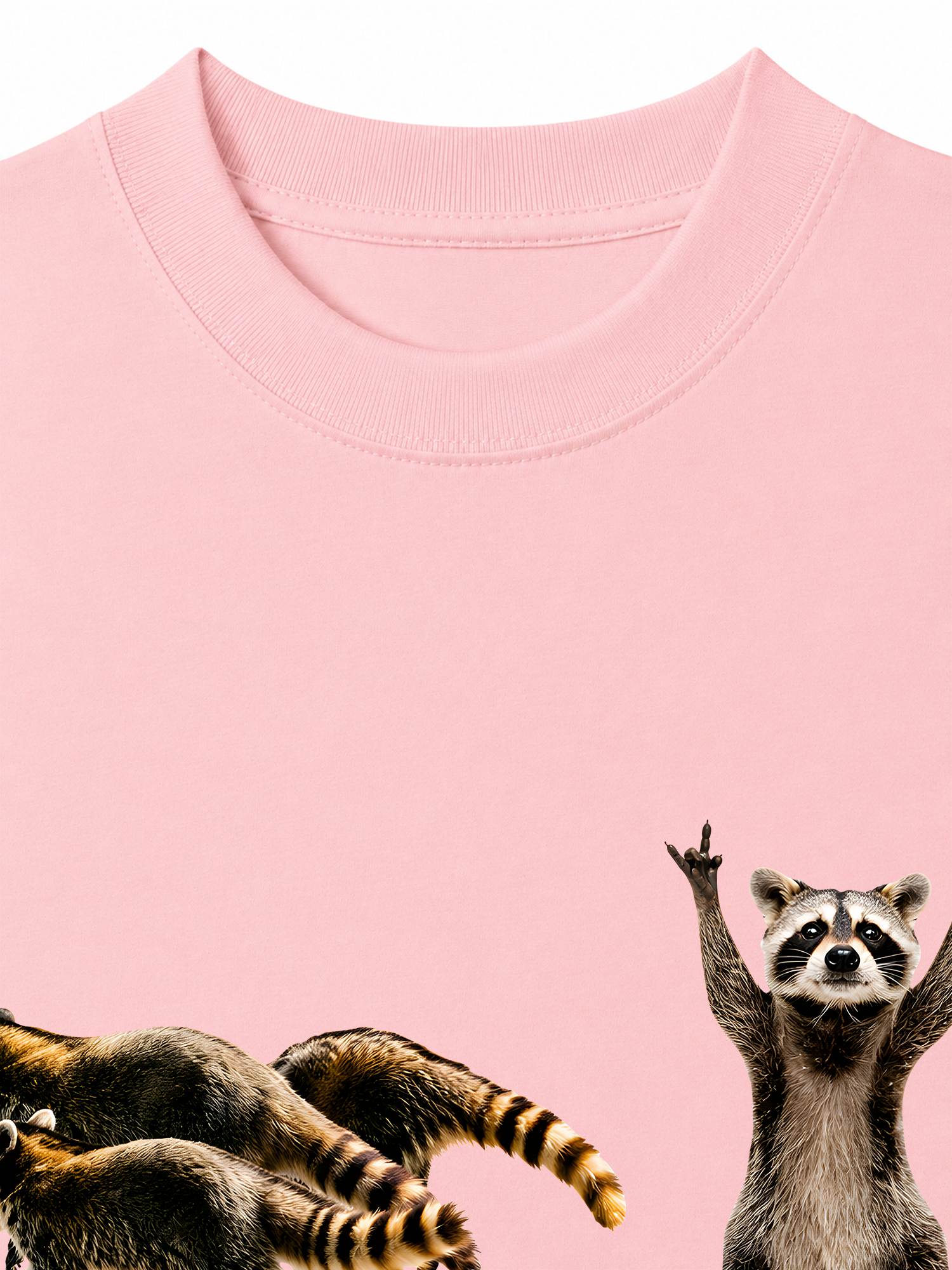 Áo Thun Relaxed Fit I Just Gotta Be Me Raccoon
