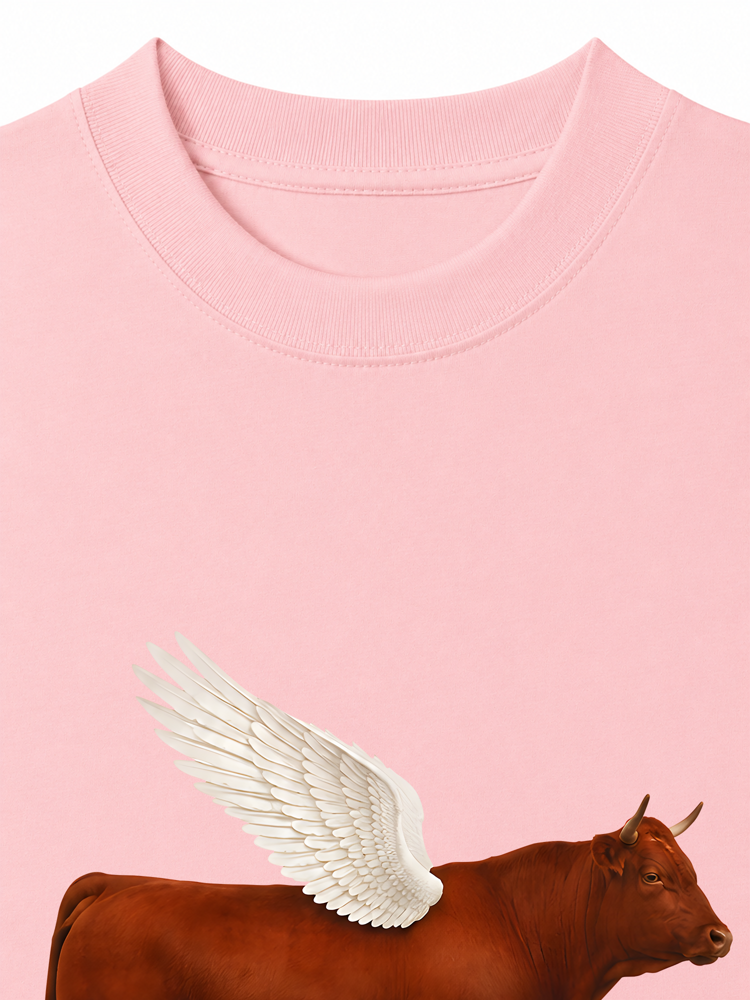 Áo Thun Relaxed Fit Find Your Wings