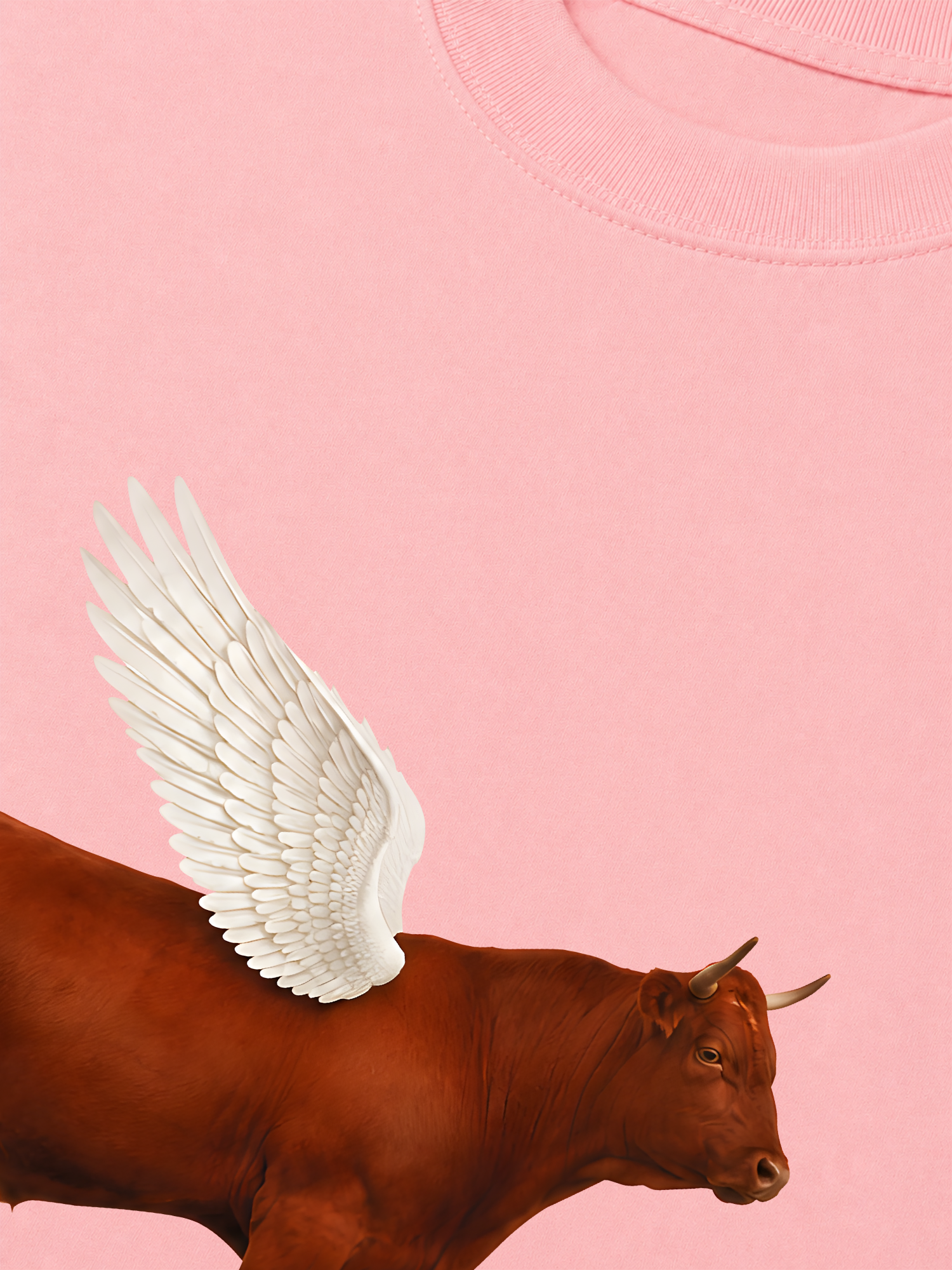 Áo Thun Relaxed Fit Find Your Wings