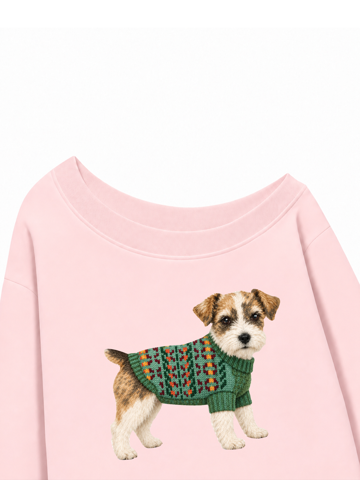 Áo Sweater Lệch Vai Nỉ Hai Da Little Buddy