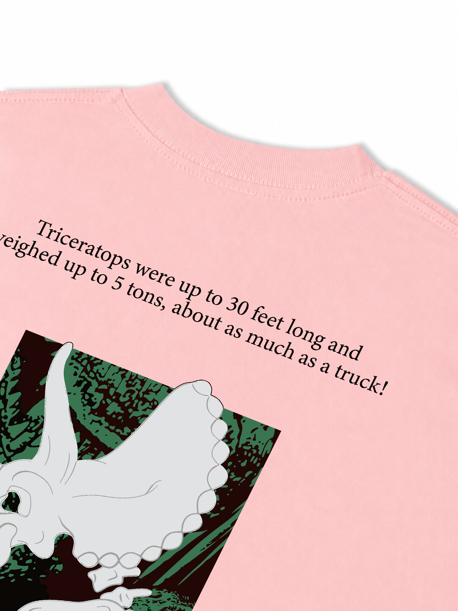 Áo Thun Relaxed Fit Triceratops
