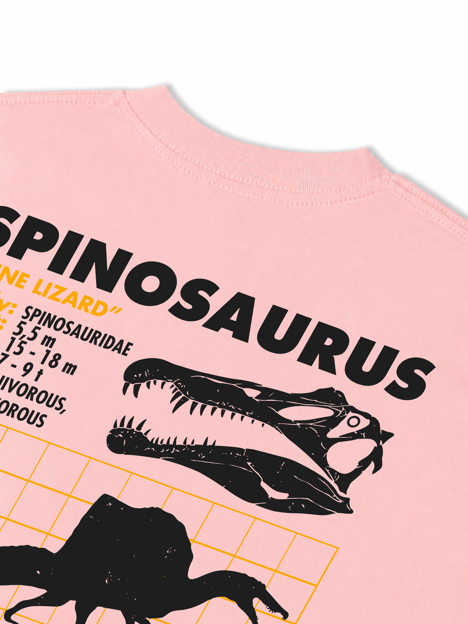 Áo Thun Relaxed Fit Analysis Table Spinosaurus
