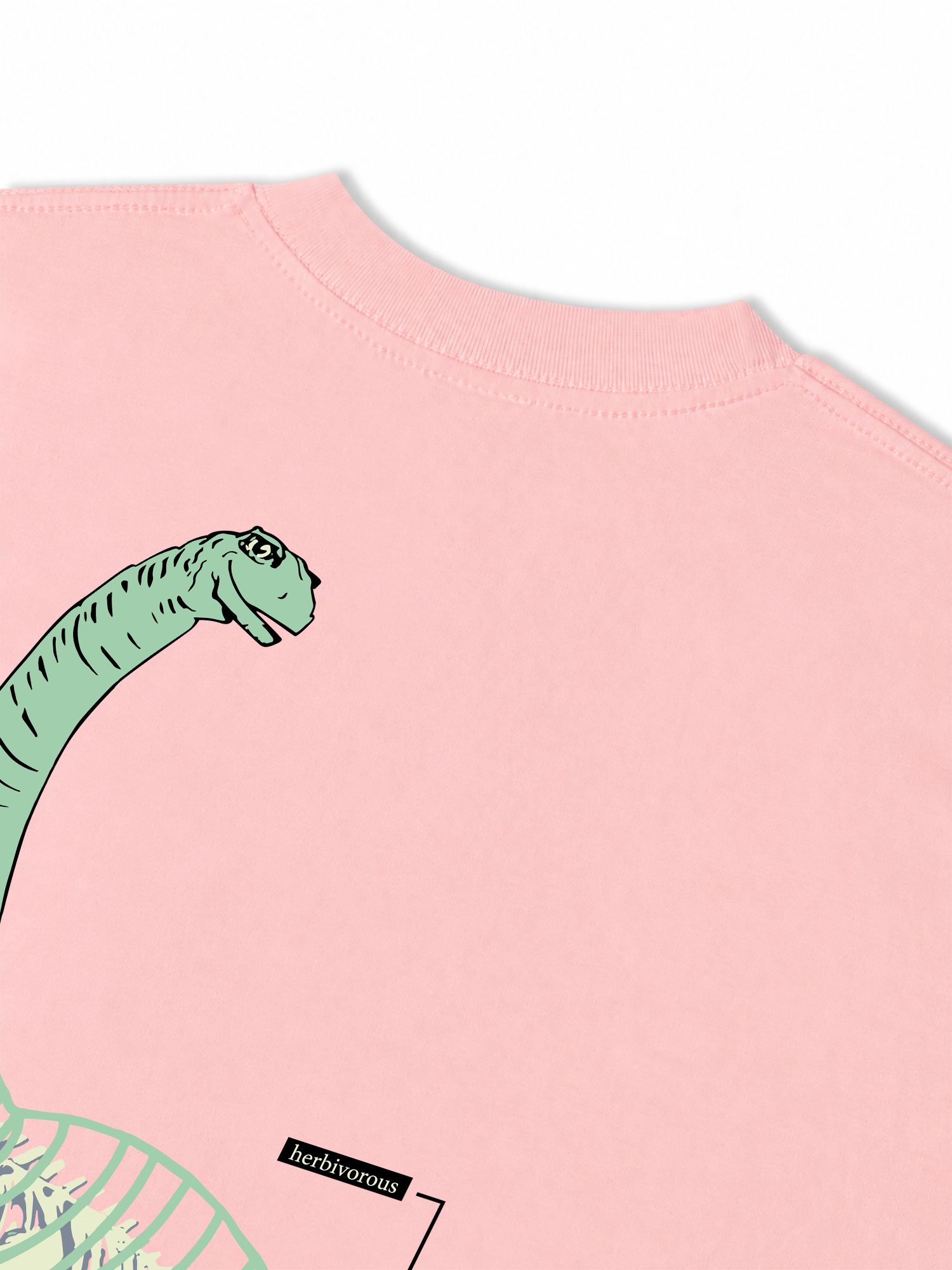 Áo Thun Relaxed Fit Sauropod