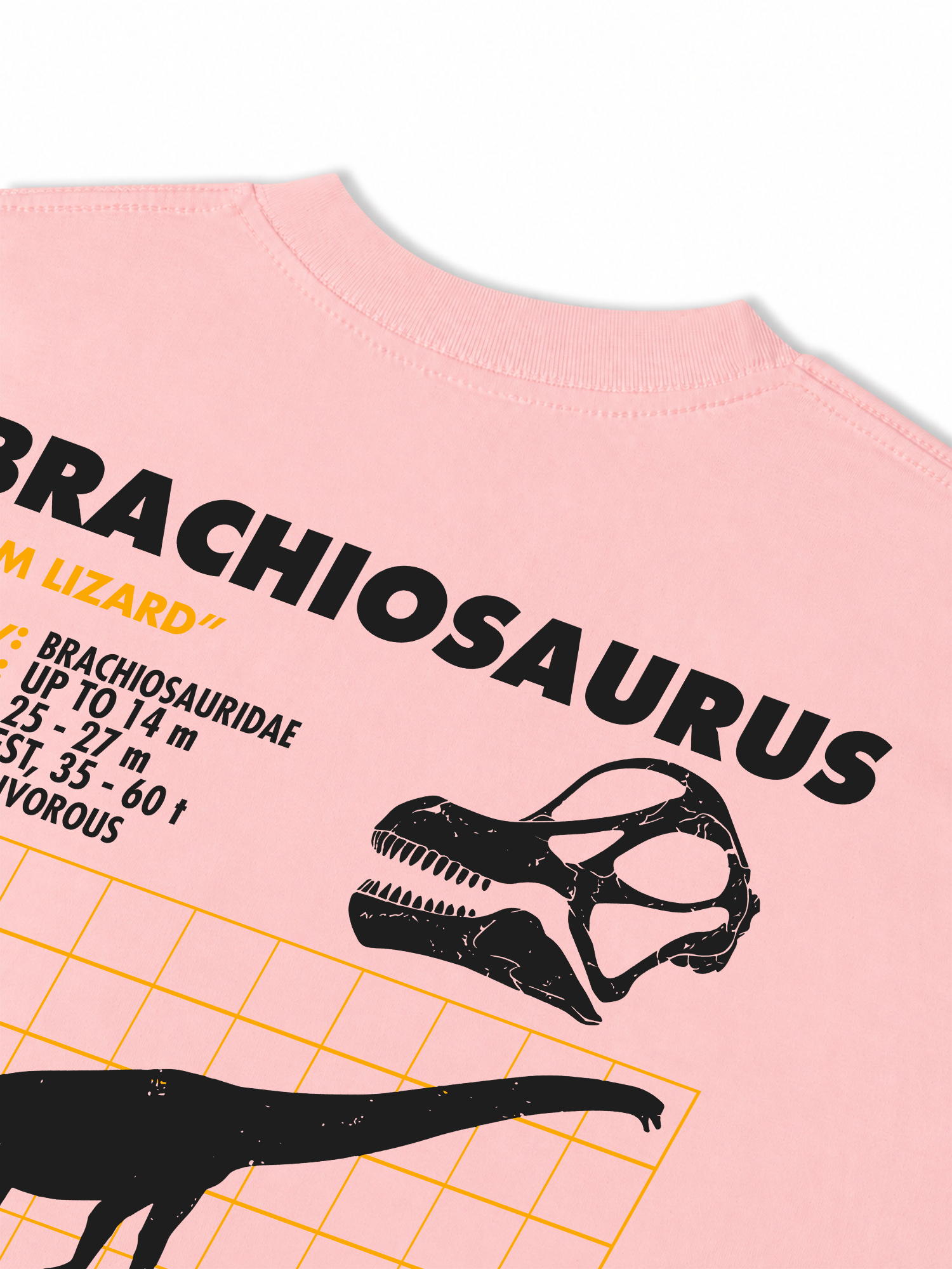 Áo Thun Relaxed Fit Analysis Table Brachiosaurus
