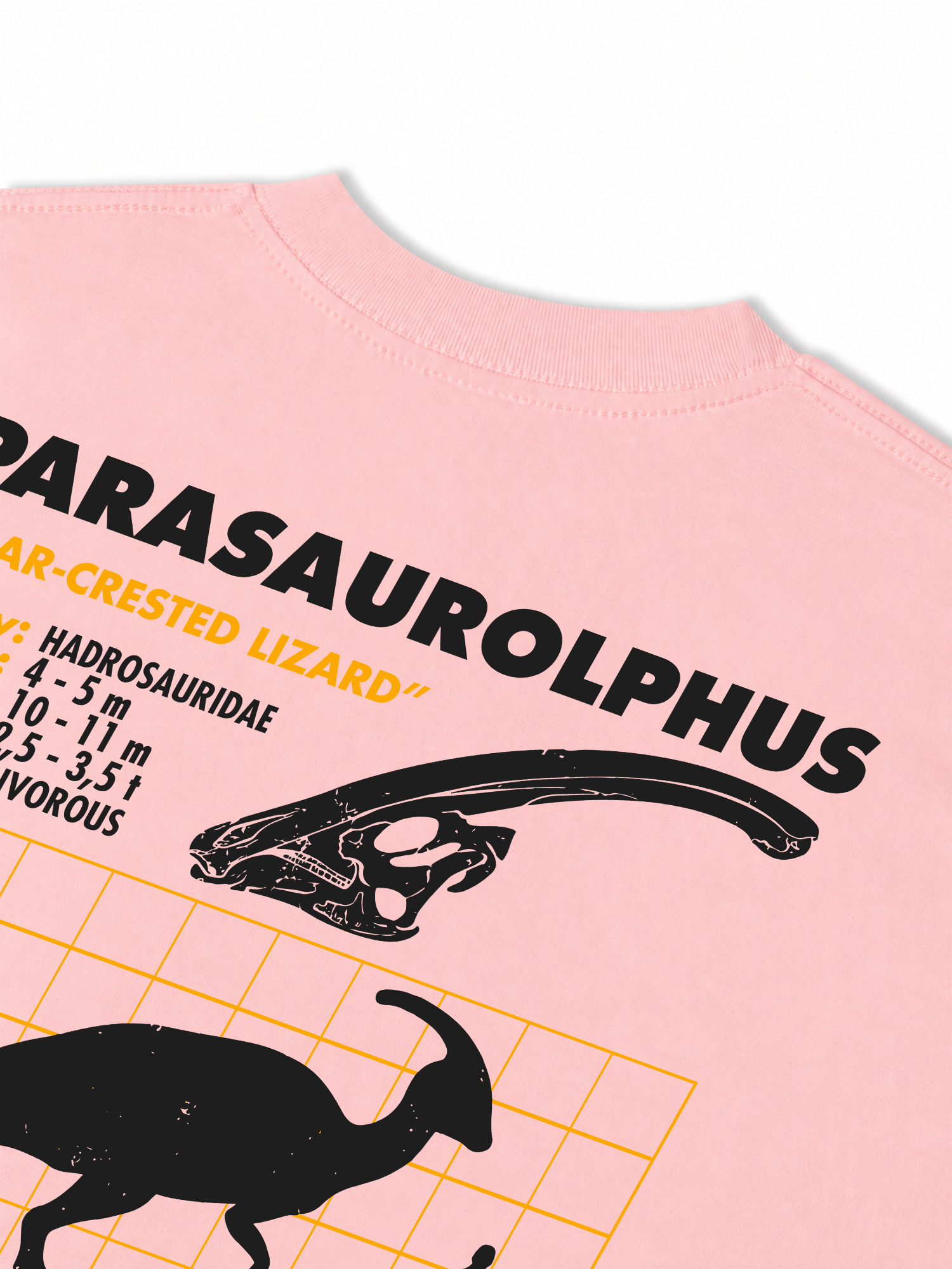 Áo Thun Relaxed Fit Analysis Table Parasaurolphus