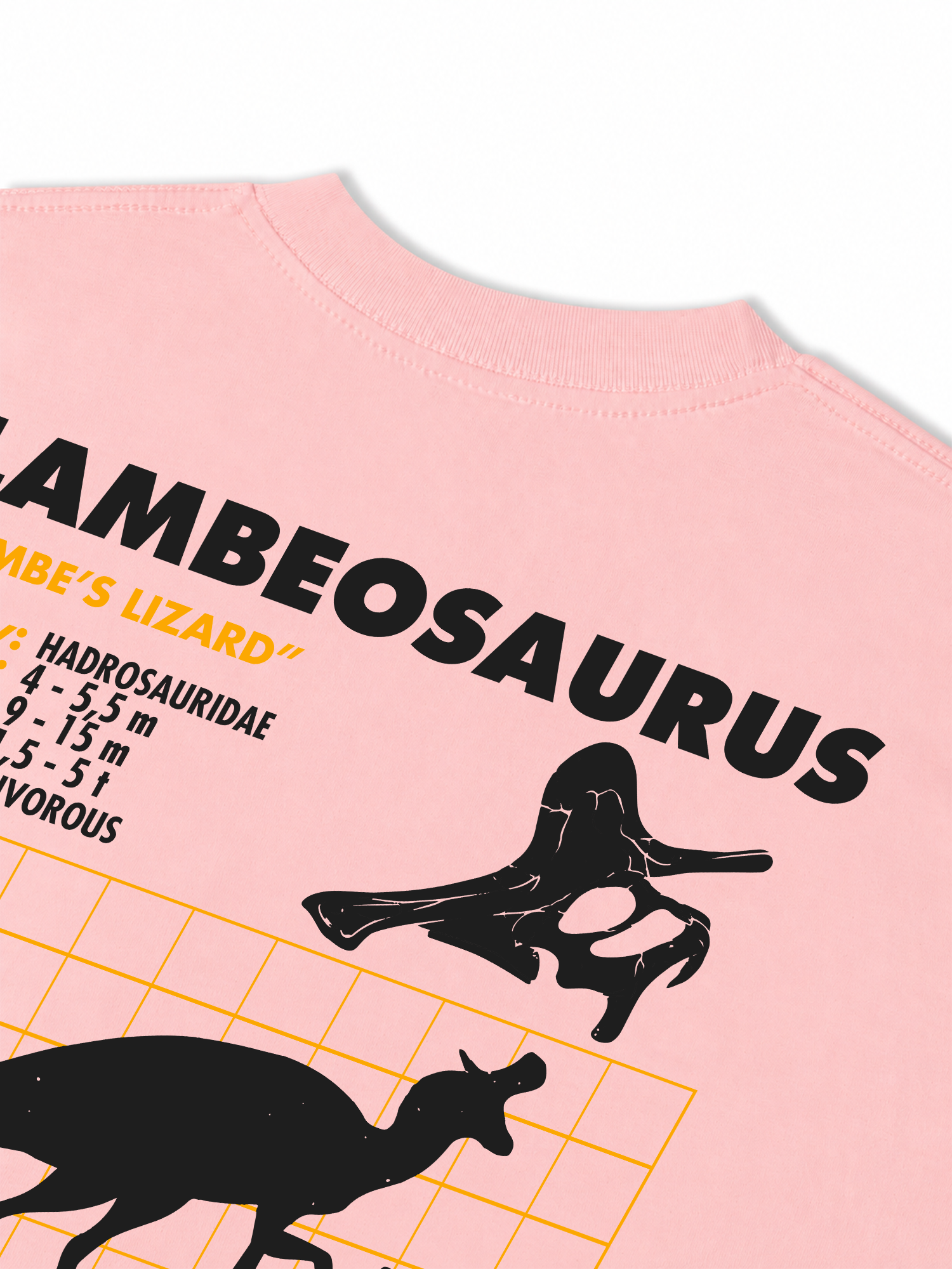 Áo Thun Relaxed Fit Analysis Table Lambeosaurus