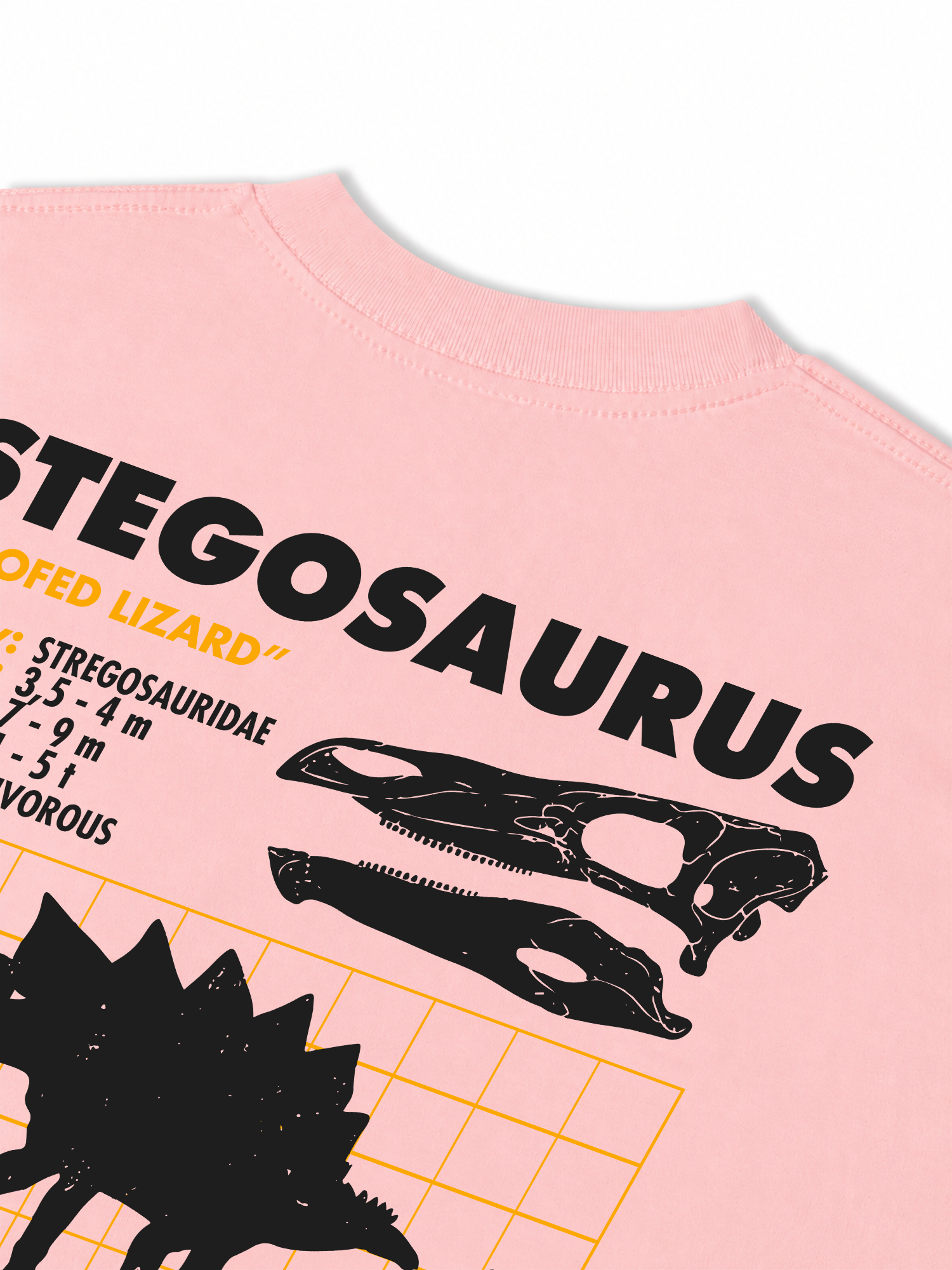 Áo Thun Relaxed Fit Analysis Table Stegosaurus