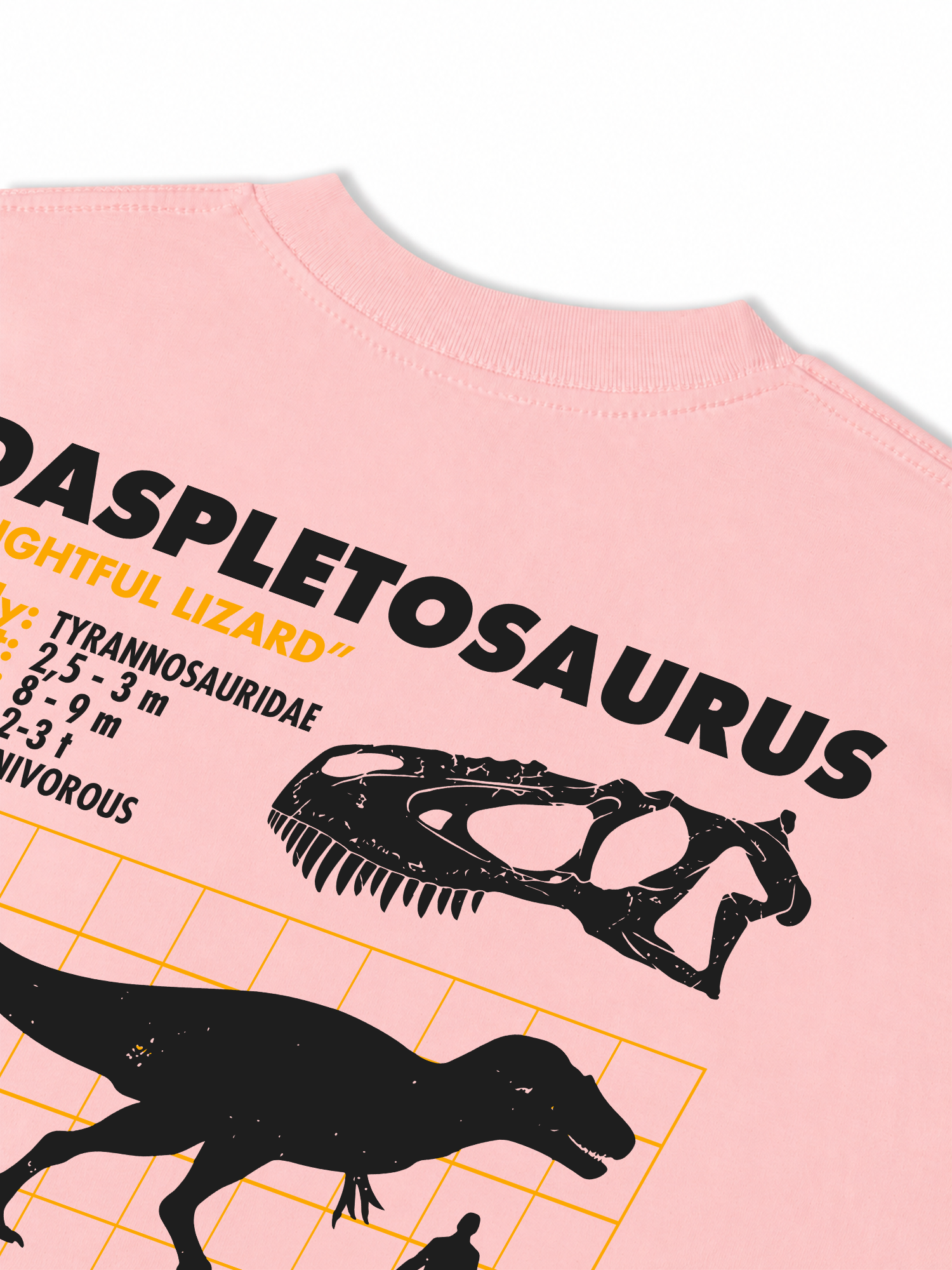 Áo Thun Relaxed Fit Analysis Table Daspletosaurus