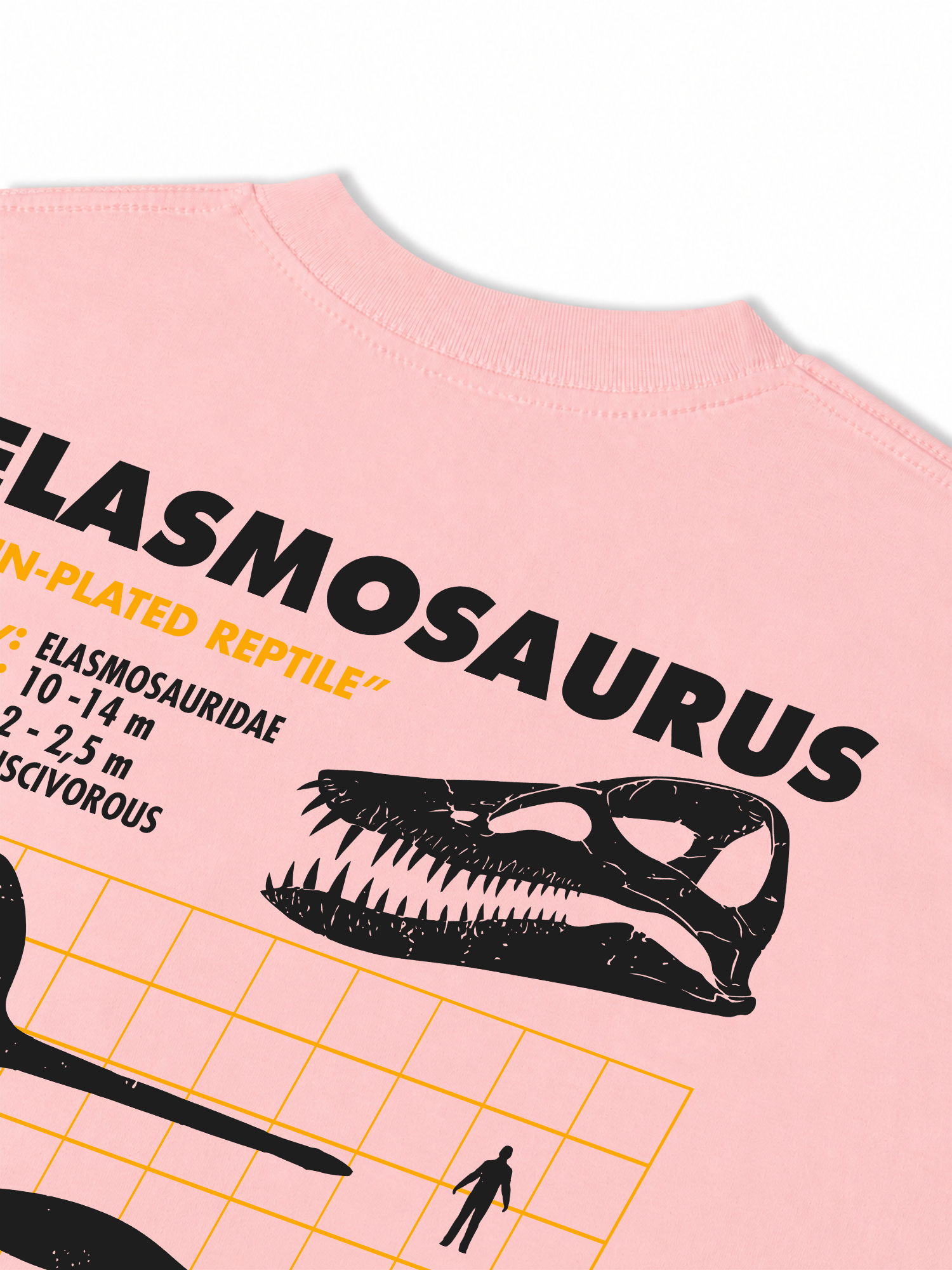 Áo Thun Relaxed Fit Analysis Table Elasmosaurus
