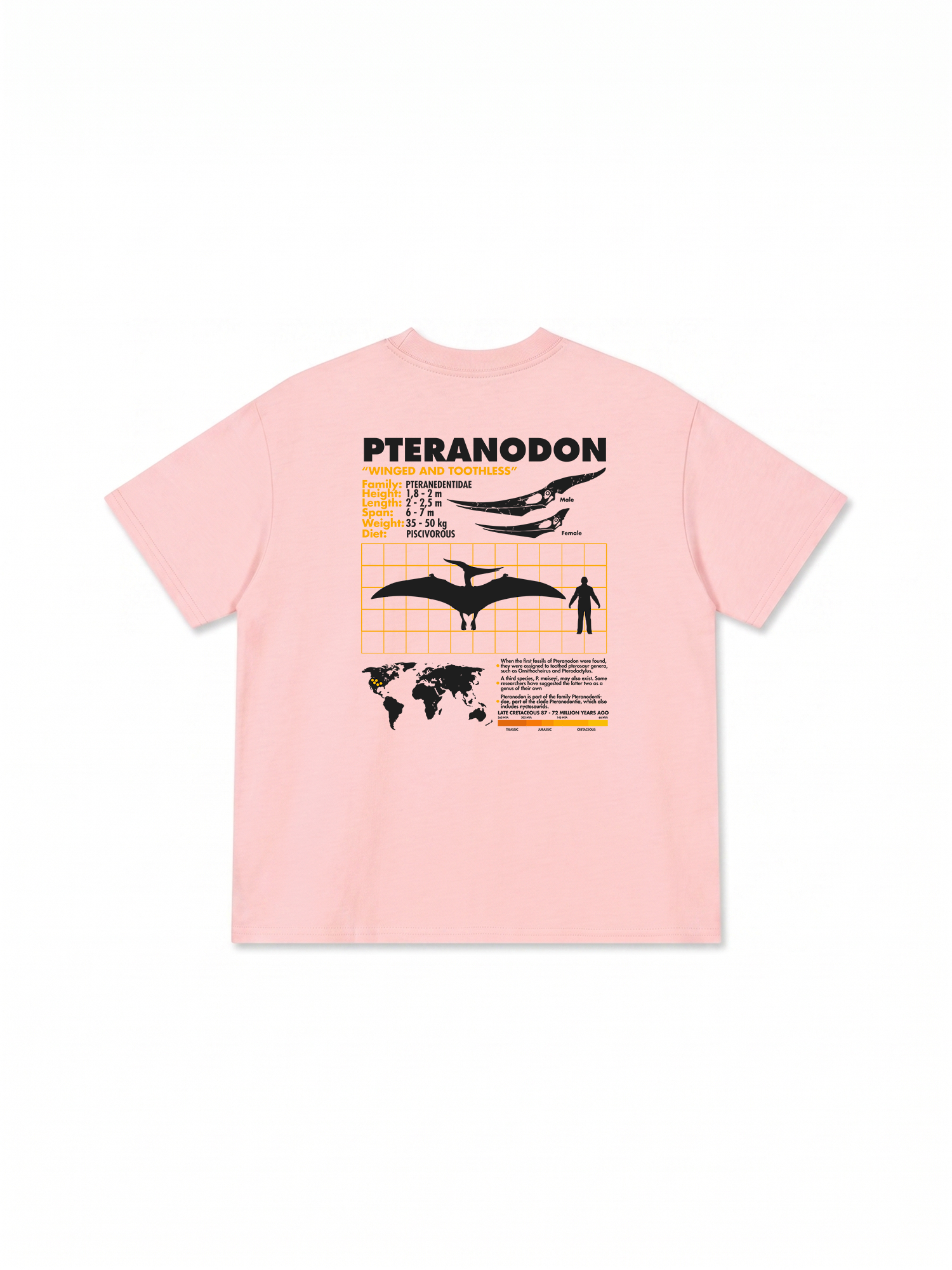 Áo Thun Relaxed Fit Analysis Table Pteranodon