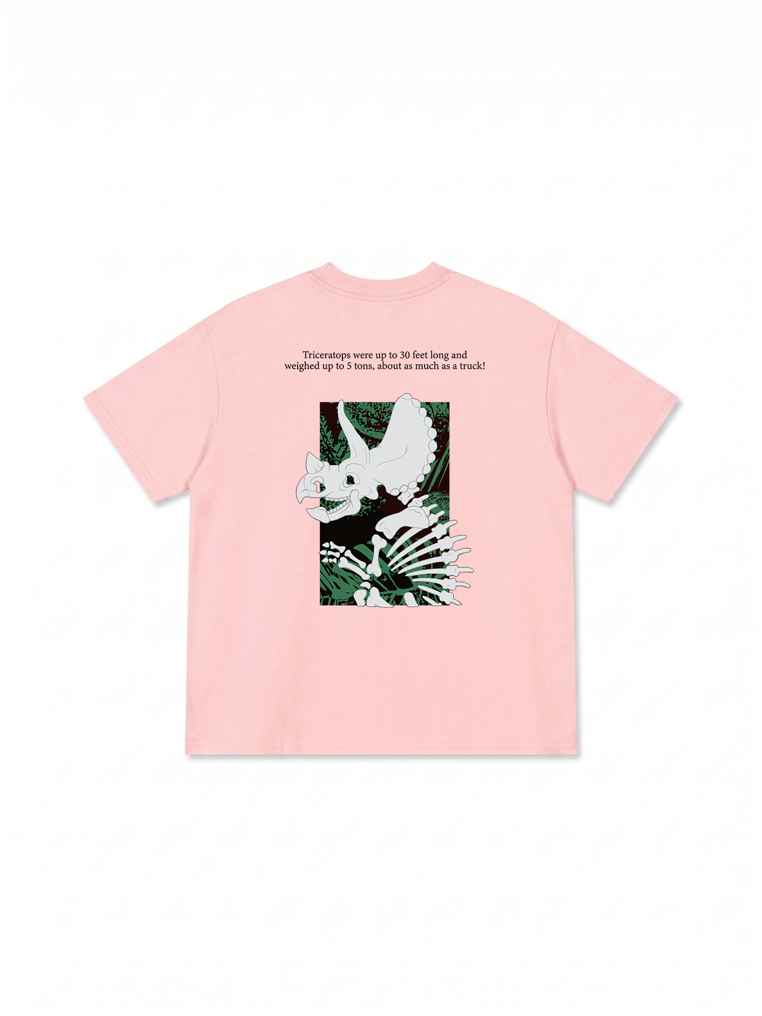 Áo Thun Relaxed Fit Triceratops