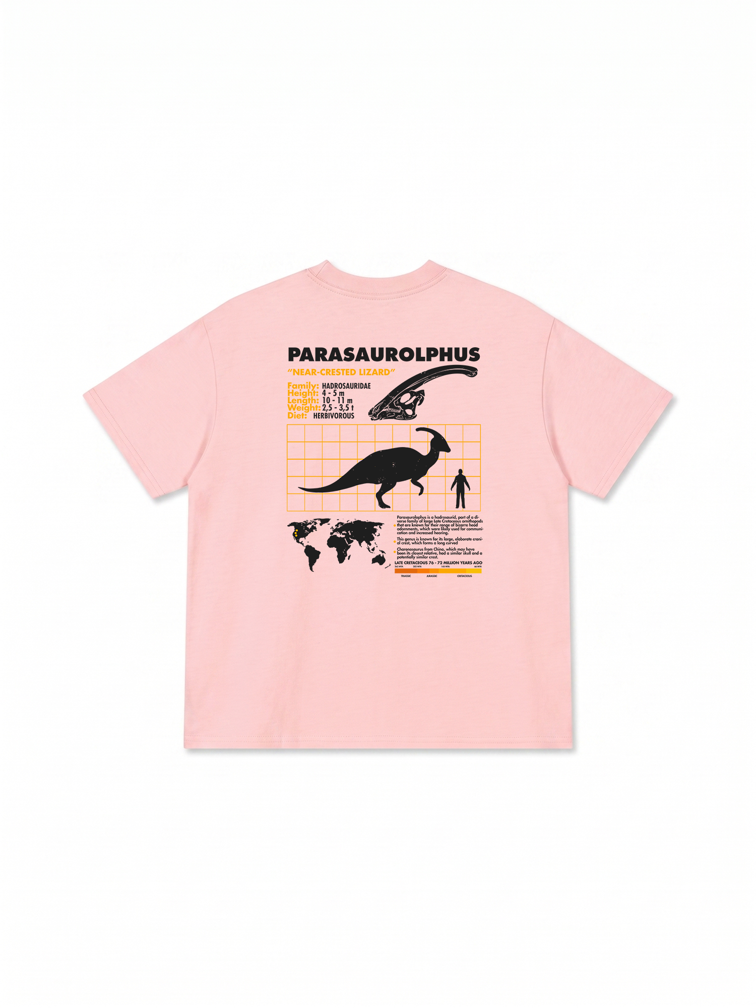 Áo Thun Relaxed Fit Analysis Table Parasaurolphus