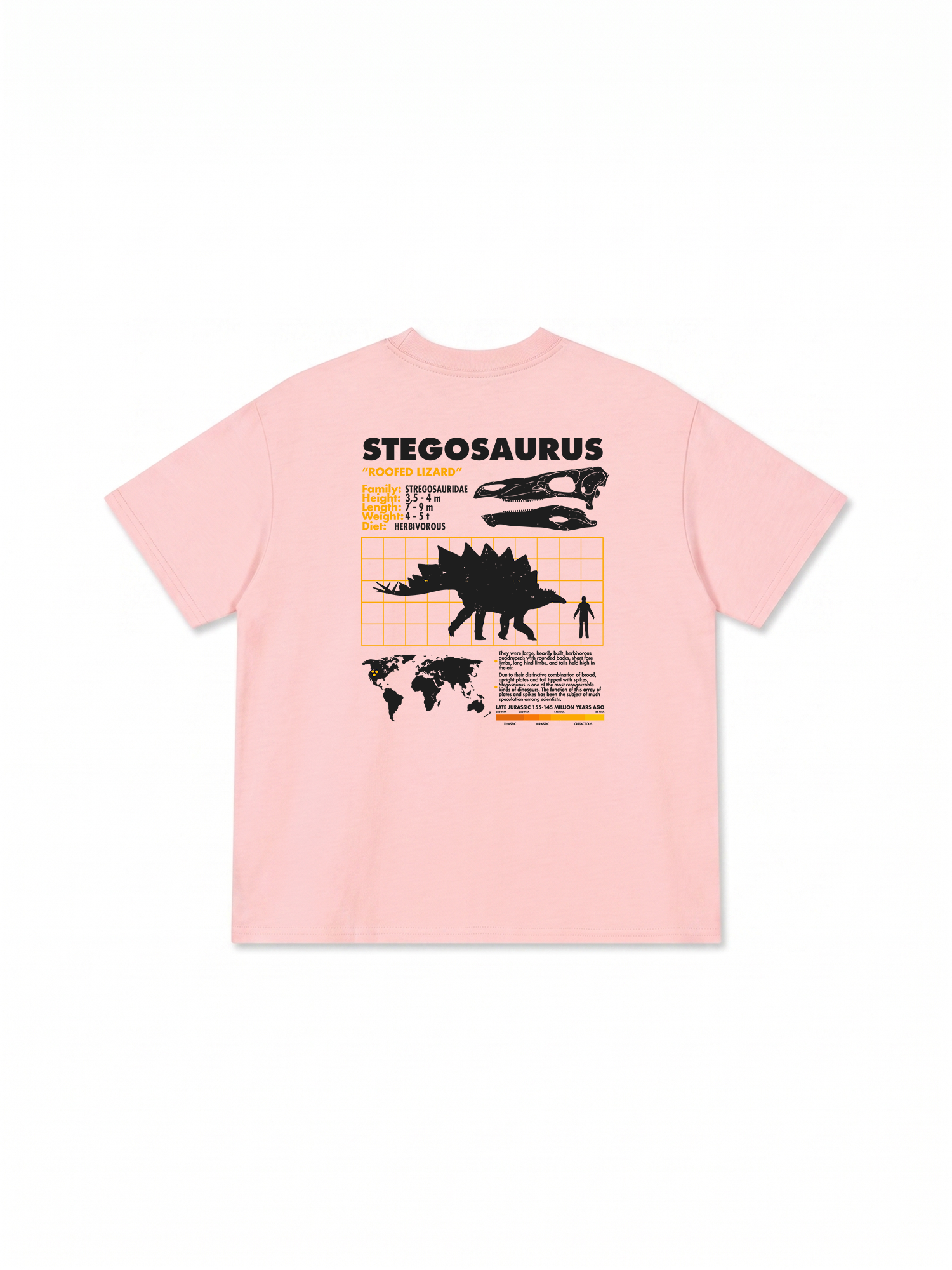 Áo Thun Relaxed Fit Analysis Table Stegosaurus