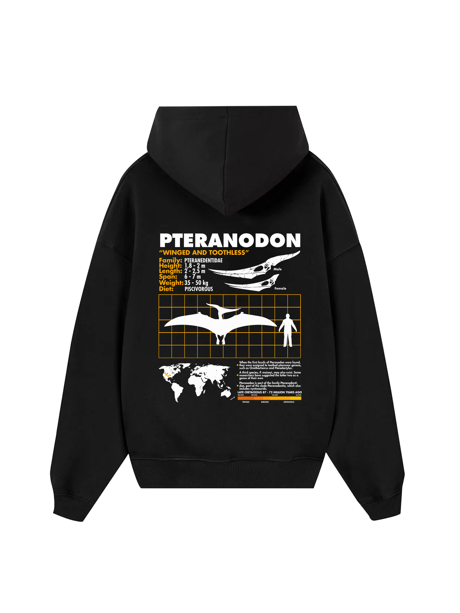 Wild Life Analysis Table Pteranodon Hoodie