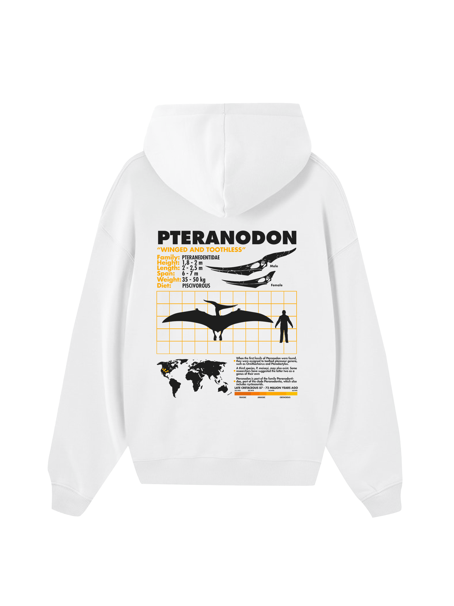 Wild Life Analysis Table Pteranodon Hoodie