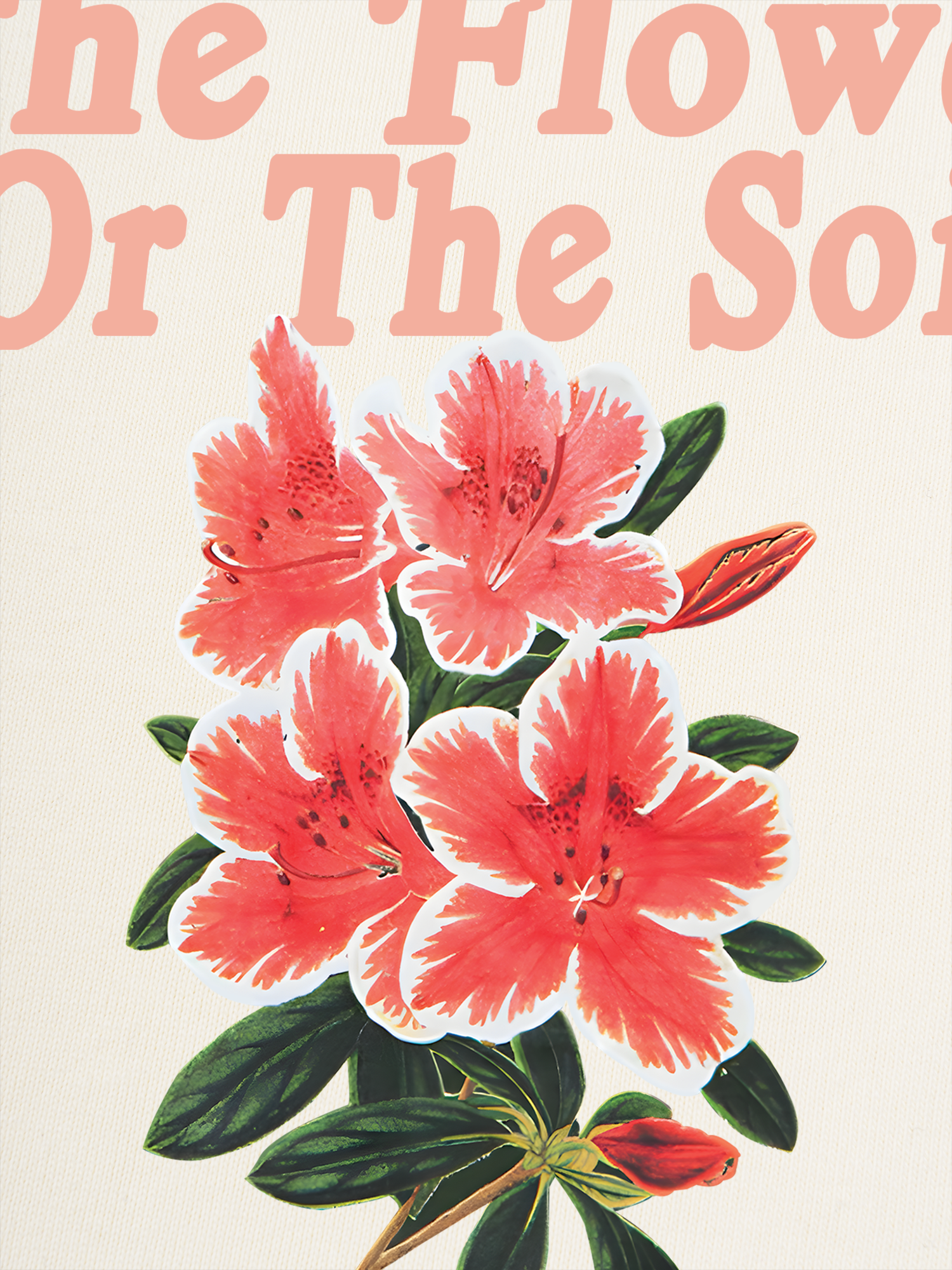 Áo Thun Ringer Relaxed Fit Floral The Soil