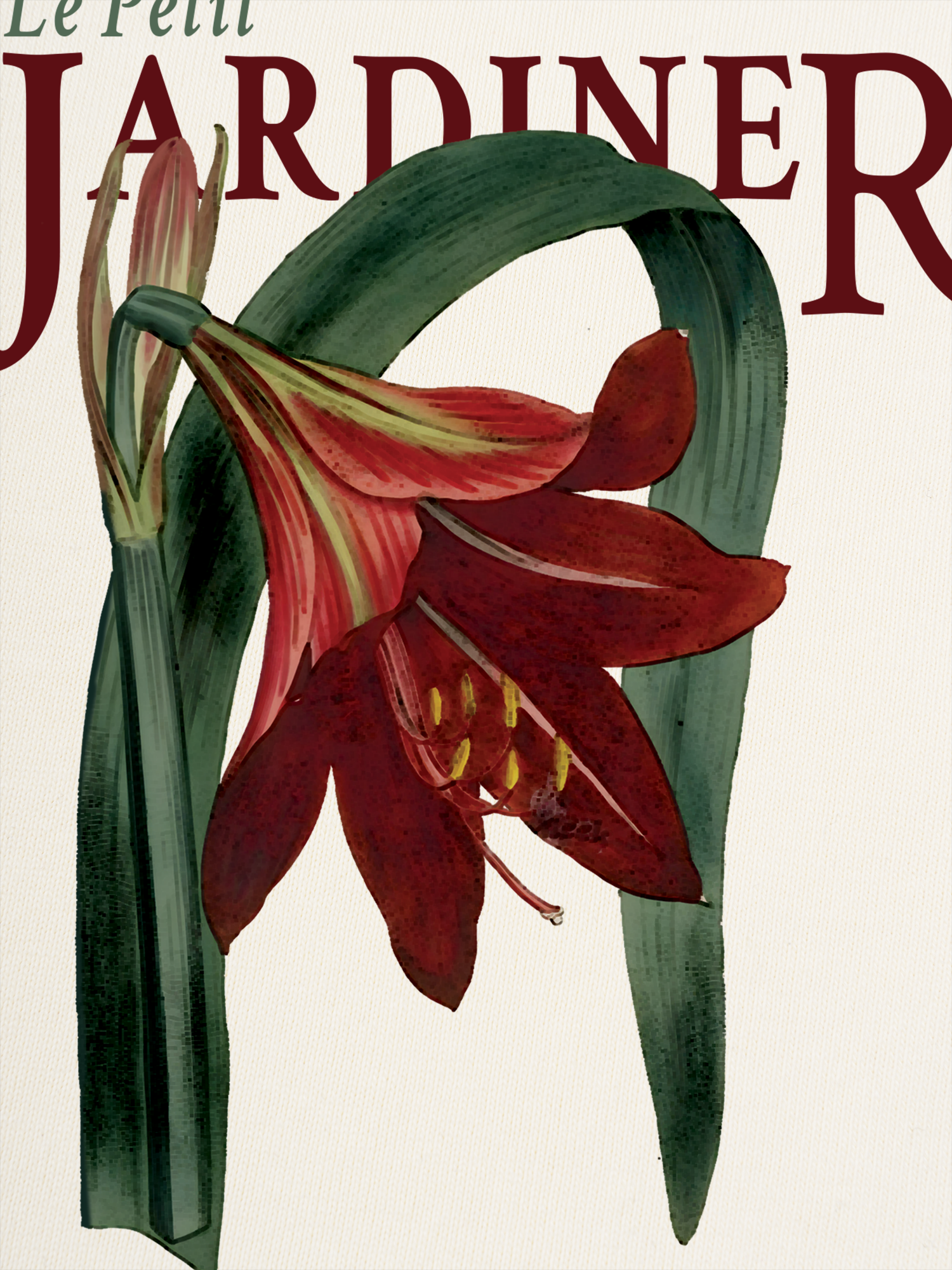 Áo Thun Ringer Relaxed Fit Le Petit Jardiner