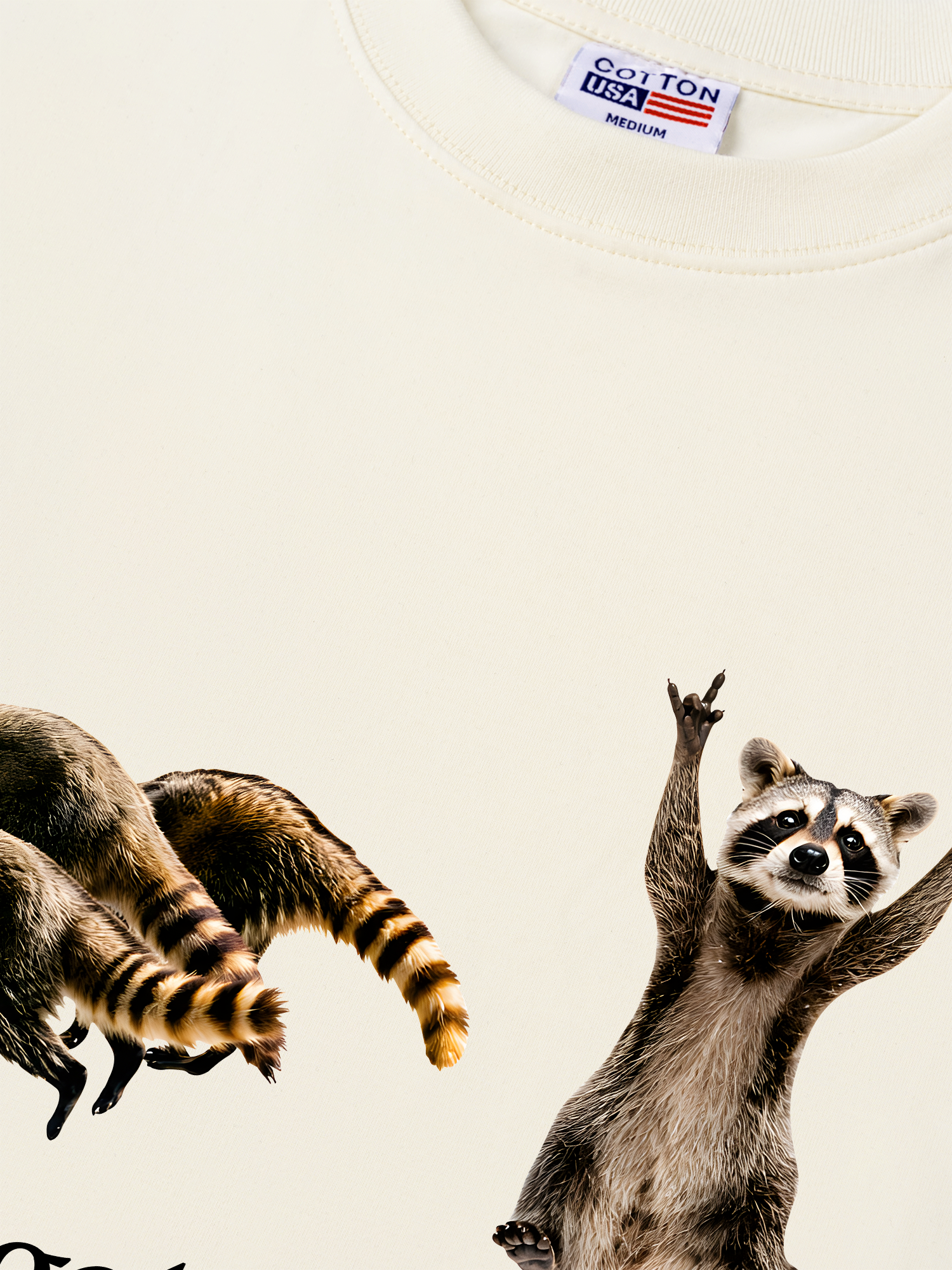 Áo Thun Relaxed Fit I Just Gotta Be Me Raccoon