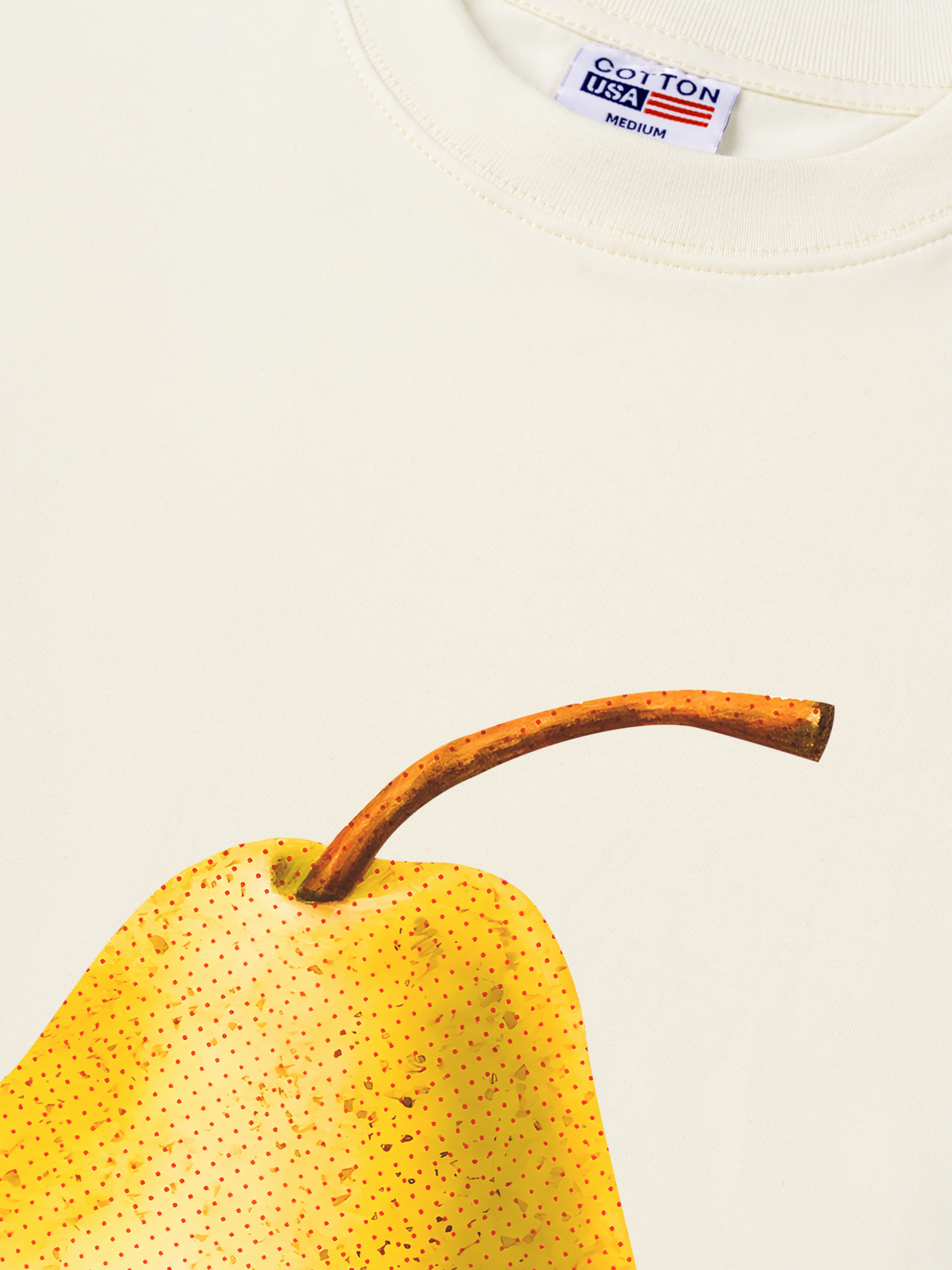 Áo Thun Relaxed Fit Tropical Pear Retro