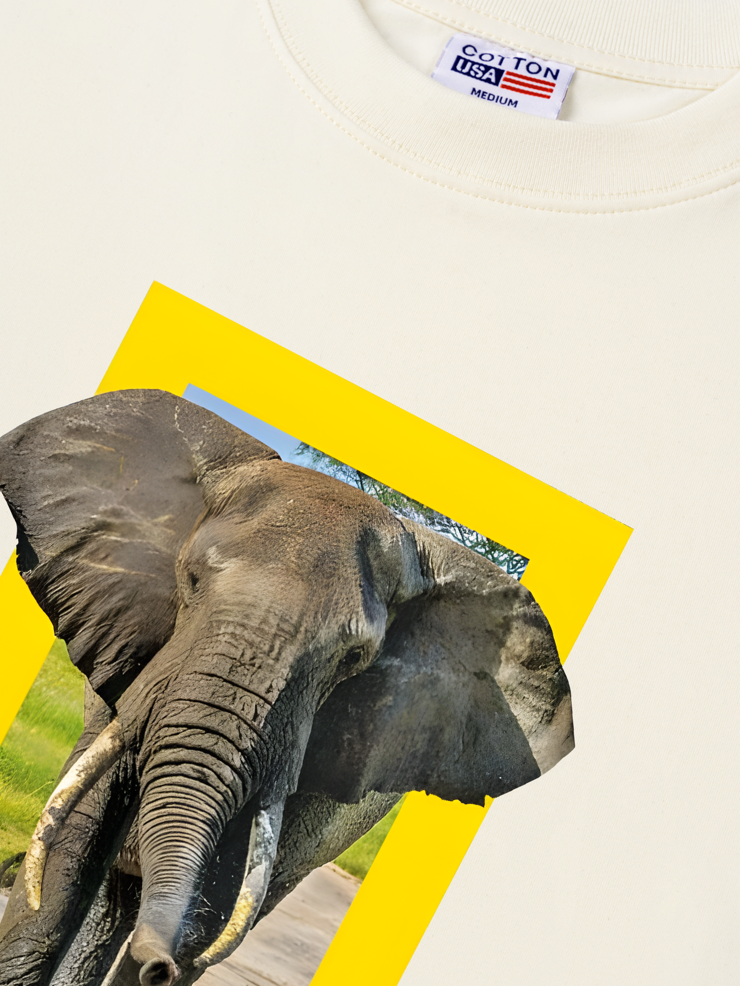 Áo Thun Relaxed Fit Wild Life Nature's Great