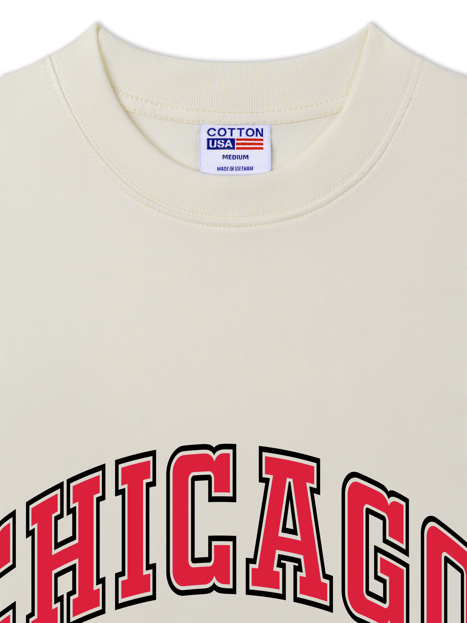 Áo Thun Relaxed Fit Chicago 21 Basketball Spider