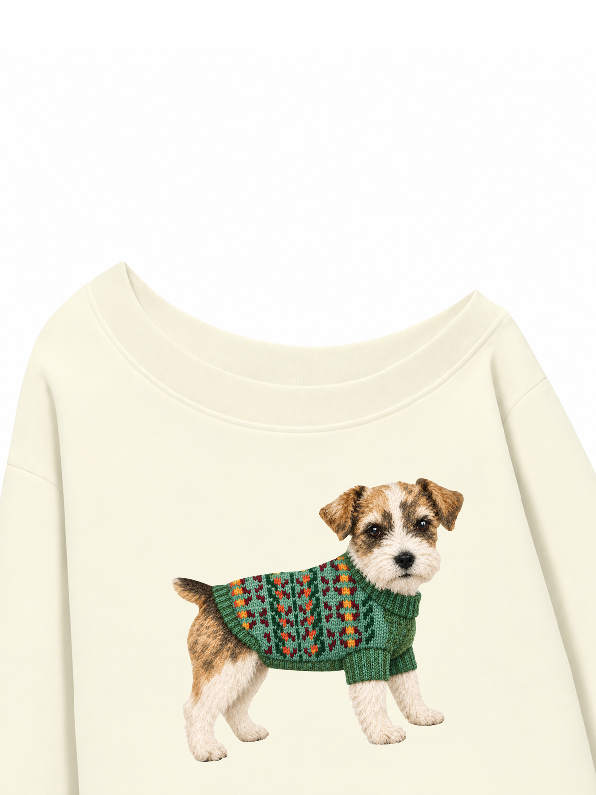 Áo Sweater Lệch Vai Nỉ Hai Da Little Buddy
