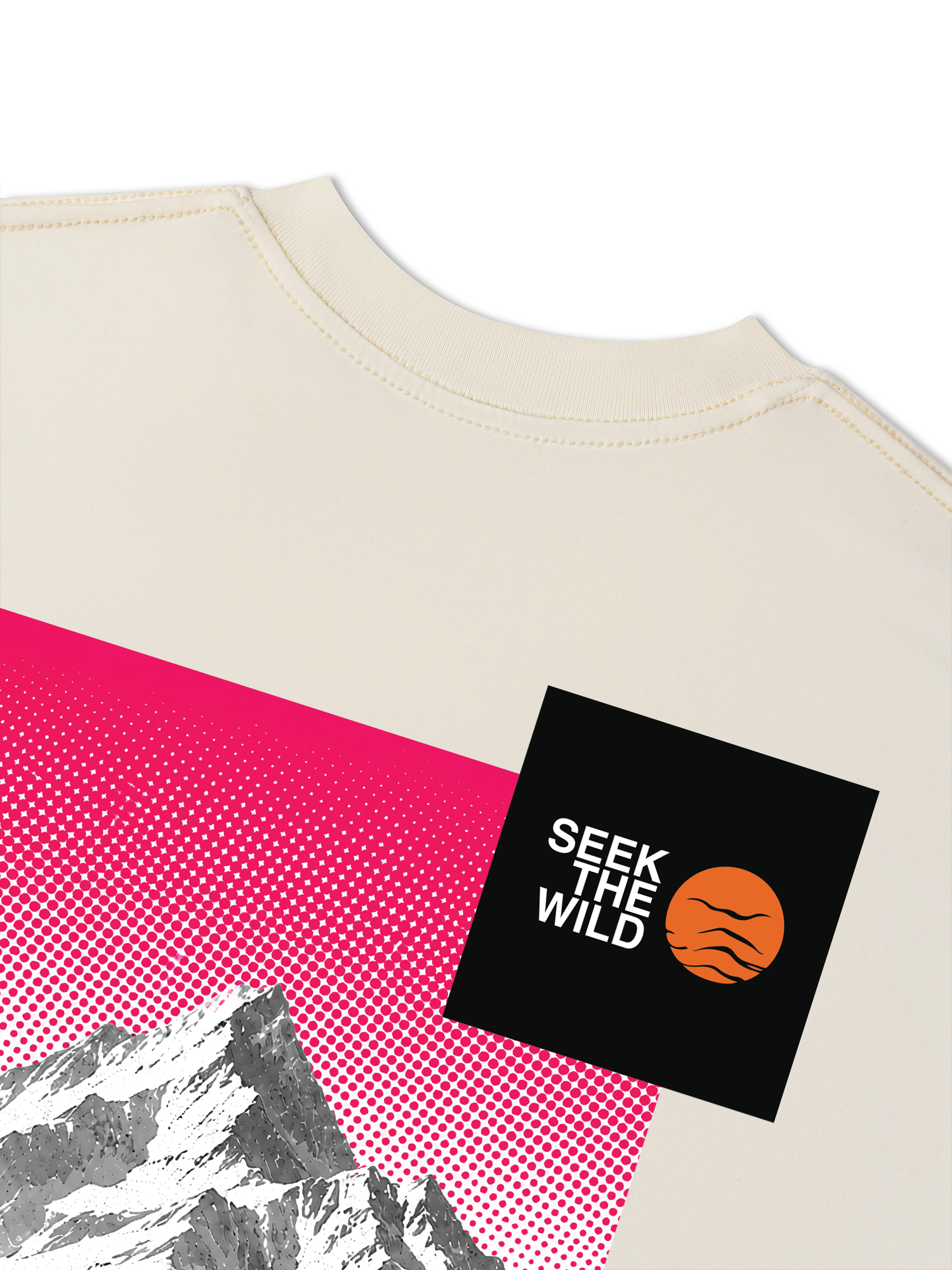 Áo Thun Relaxed Fit Adventure Seek The Wild 17