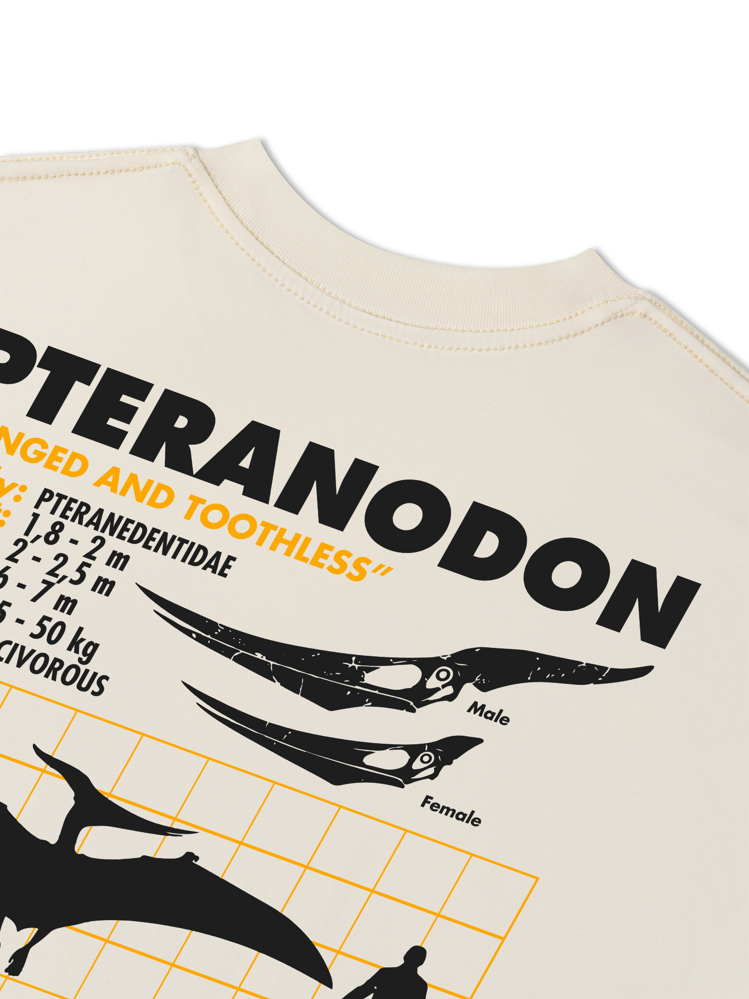 Áo Thun Relaxed Fit Analysis Table Pteranodon