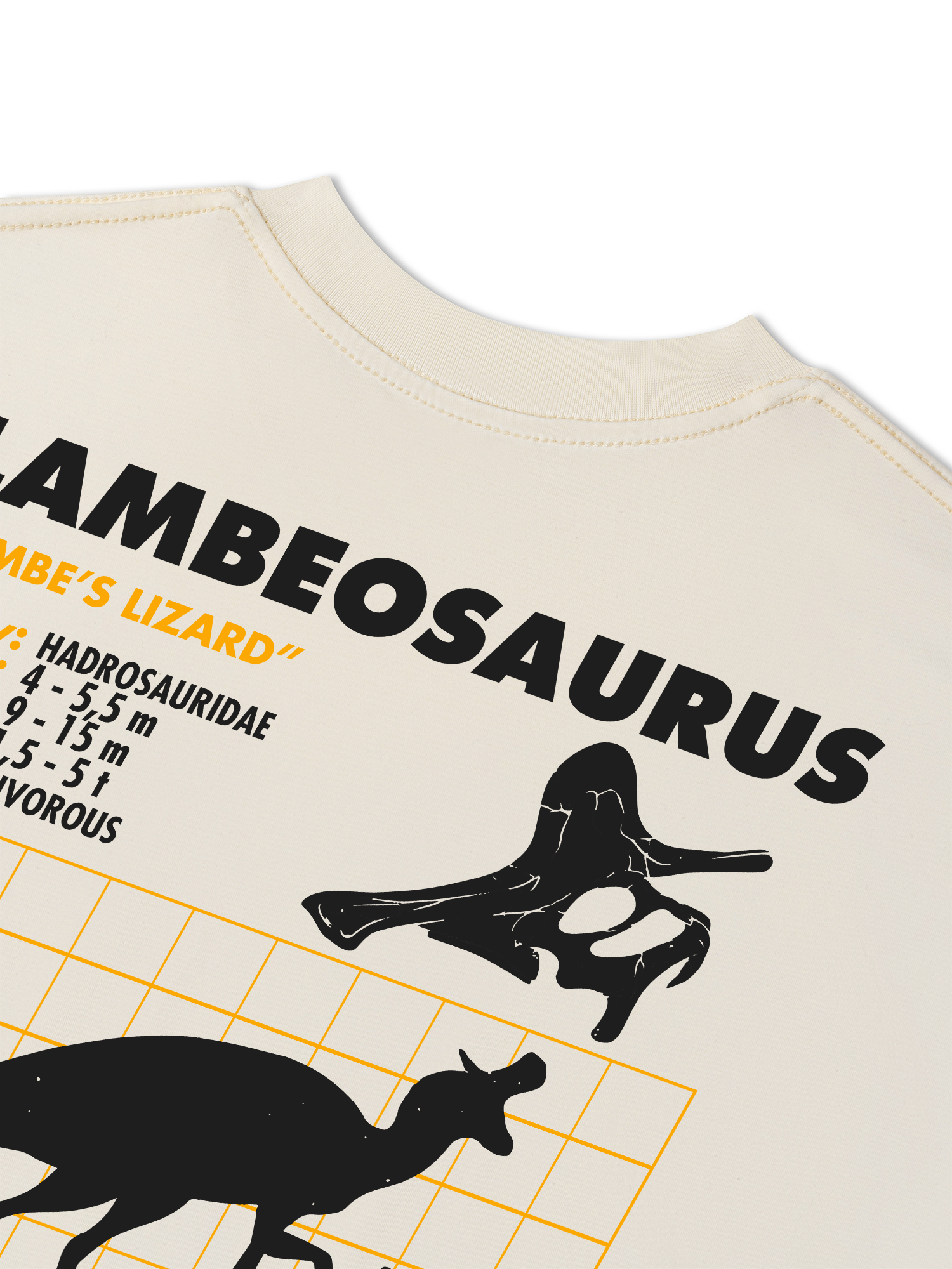 Áo Thun Relaxed Fit Analysis Table Lambeosaurus