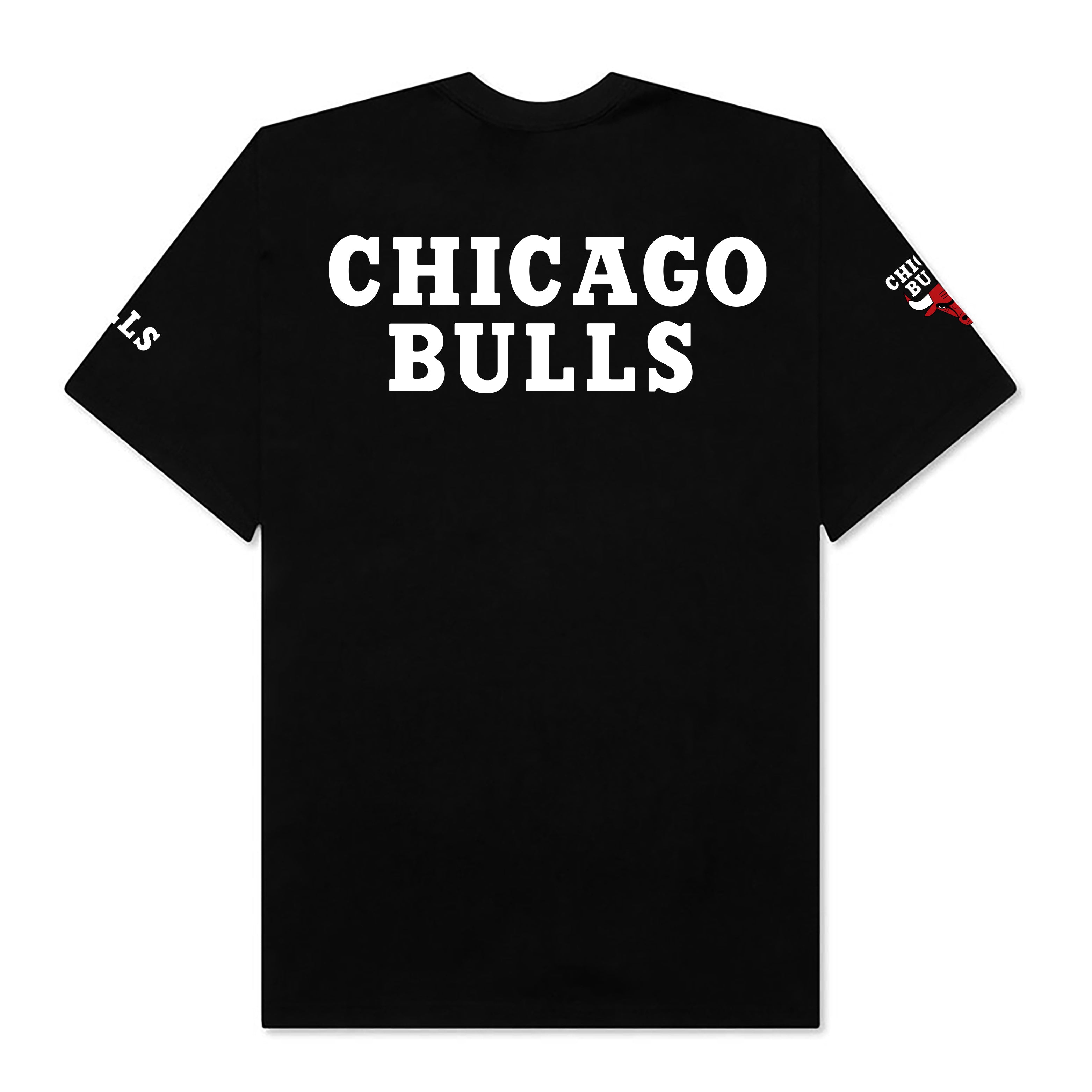 NBA Chicago Bulls Logo Select T-Shirt