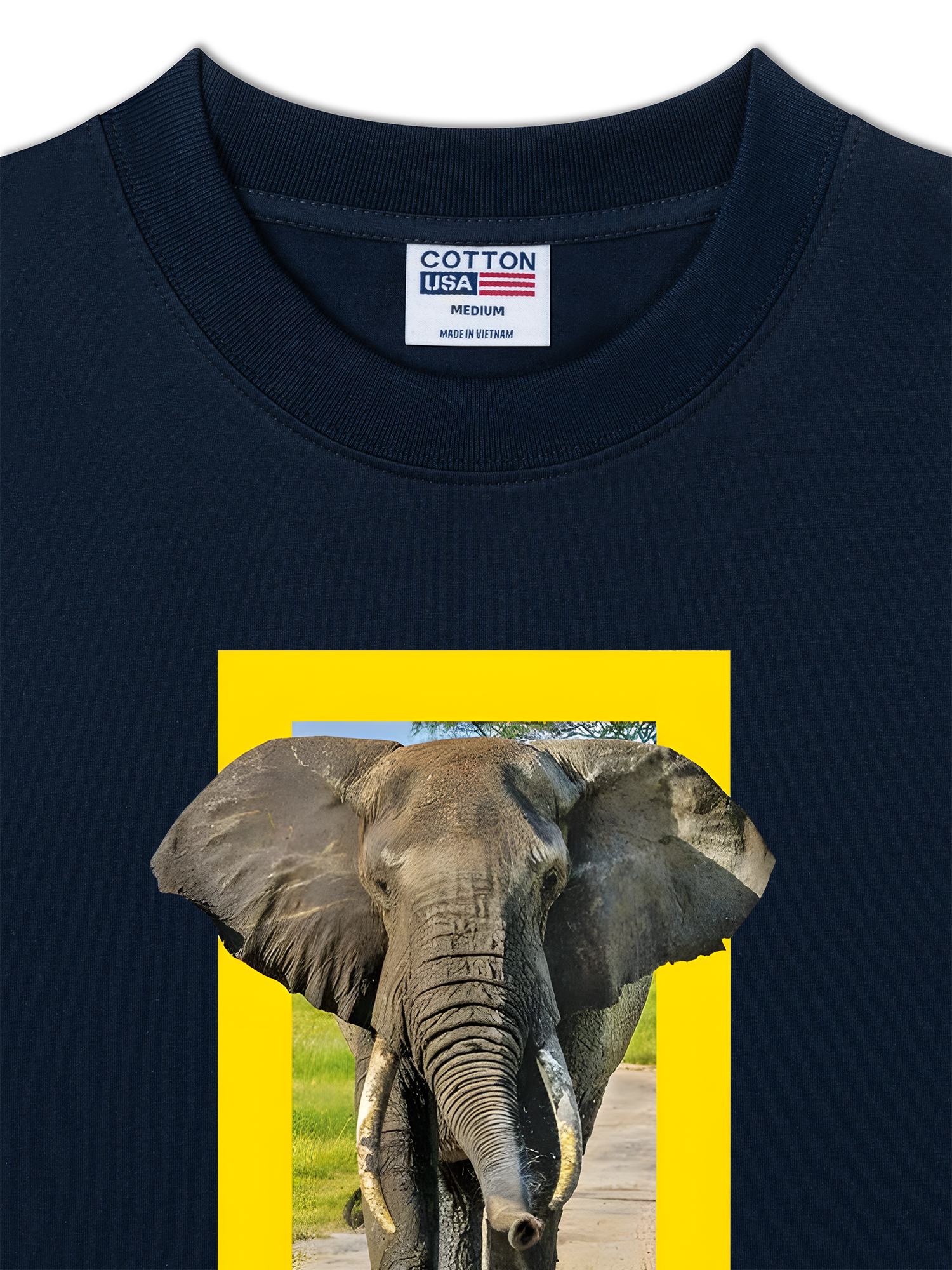 Áo Thun Relaxed Fit Wild Life Nature's Great