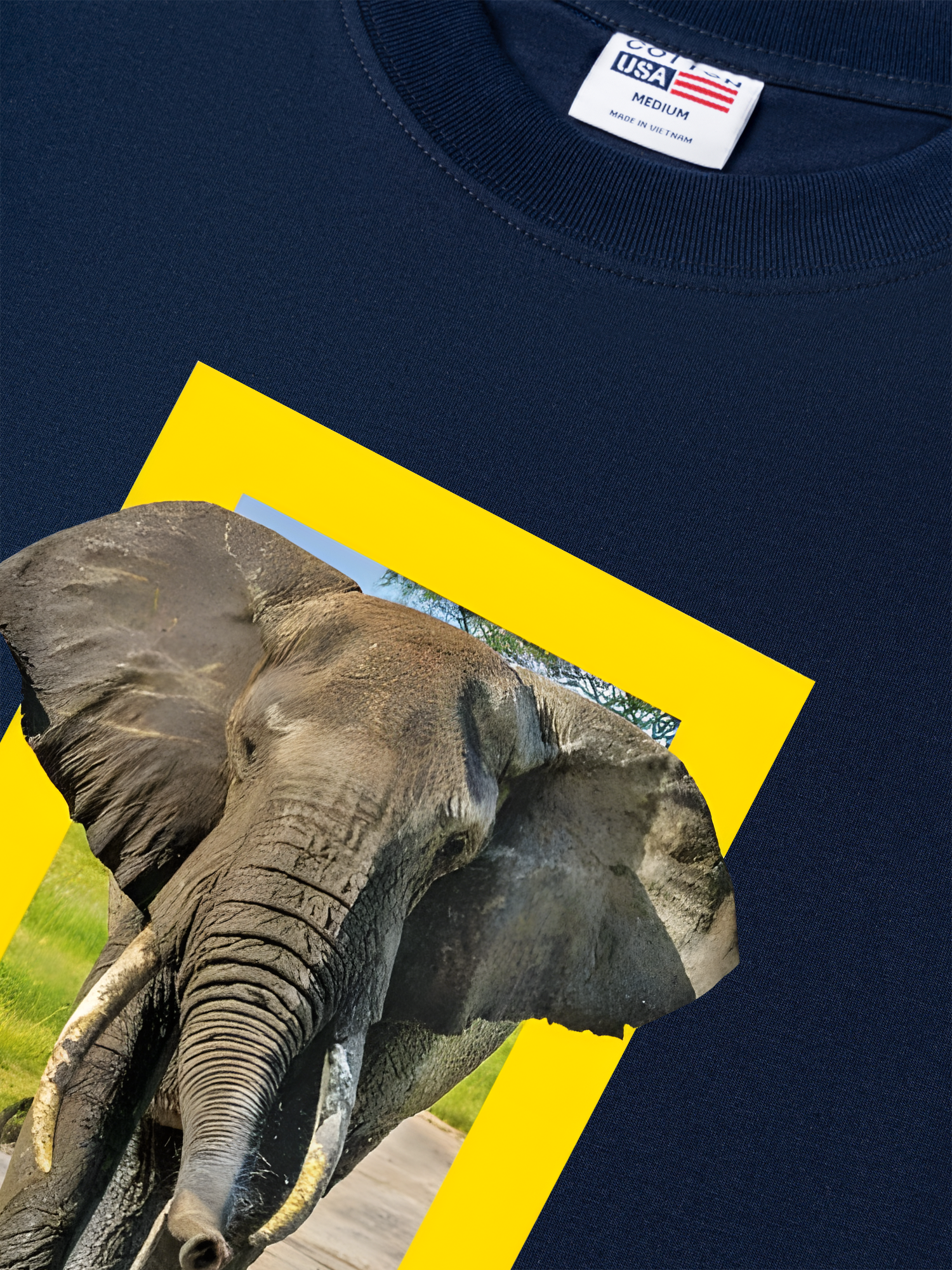 Áo Thun Relaxed Fit Wild Life Nature's Great