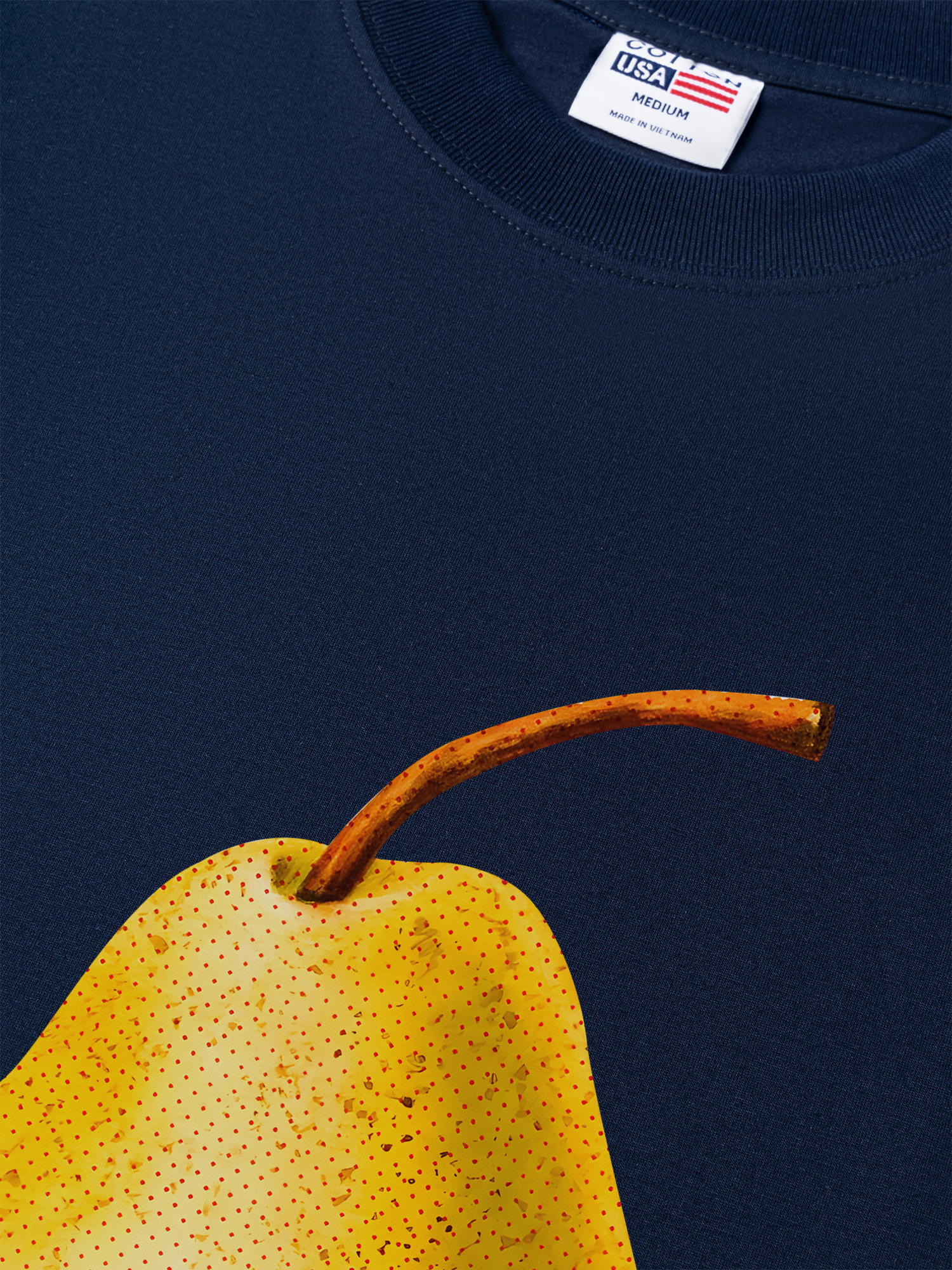 Áo Thun Relaxed Fit Tropical Pear Retro