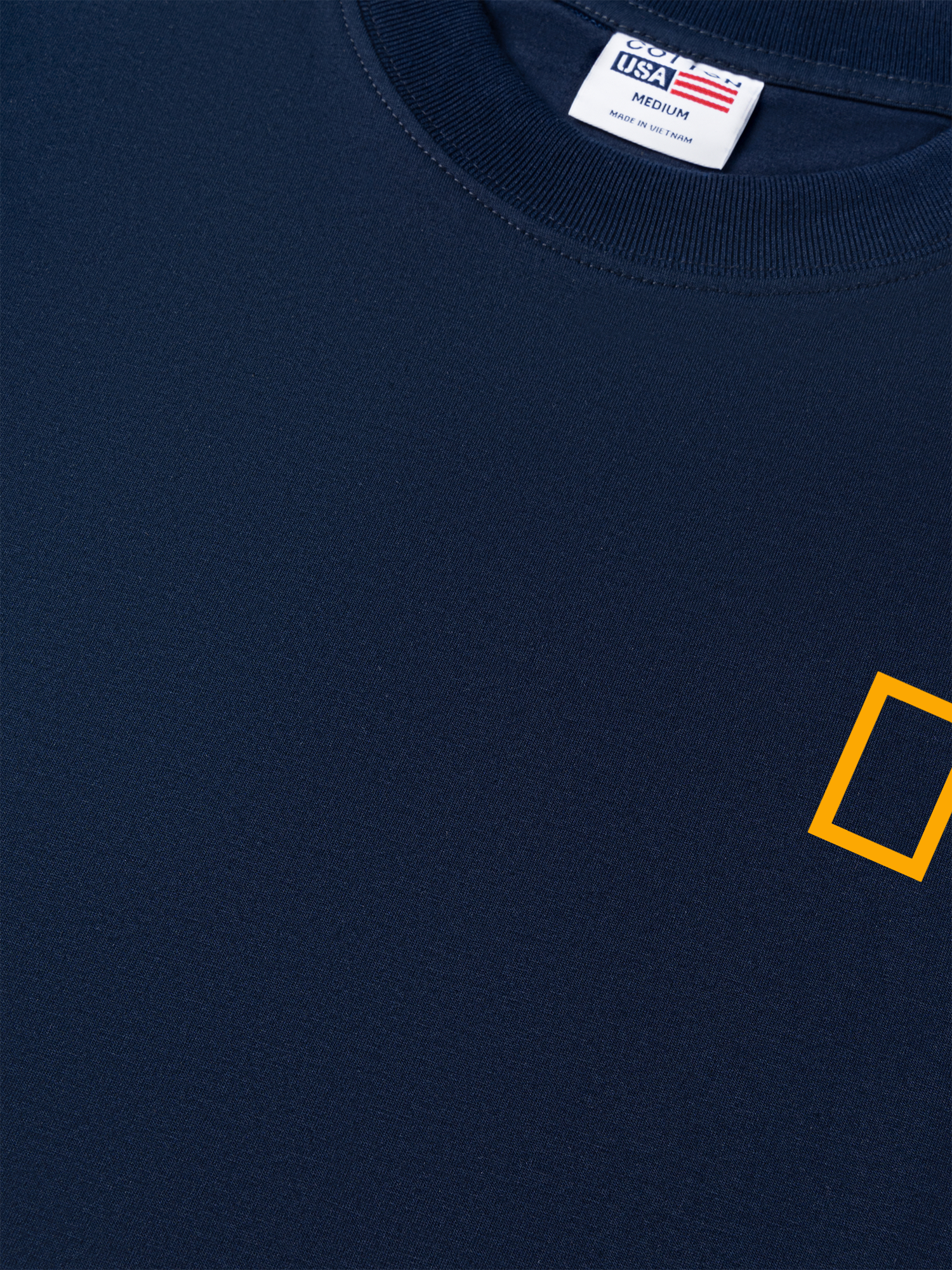 Áo Thun Relaxed Fit Wild Life Analysis Table Allosaurus