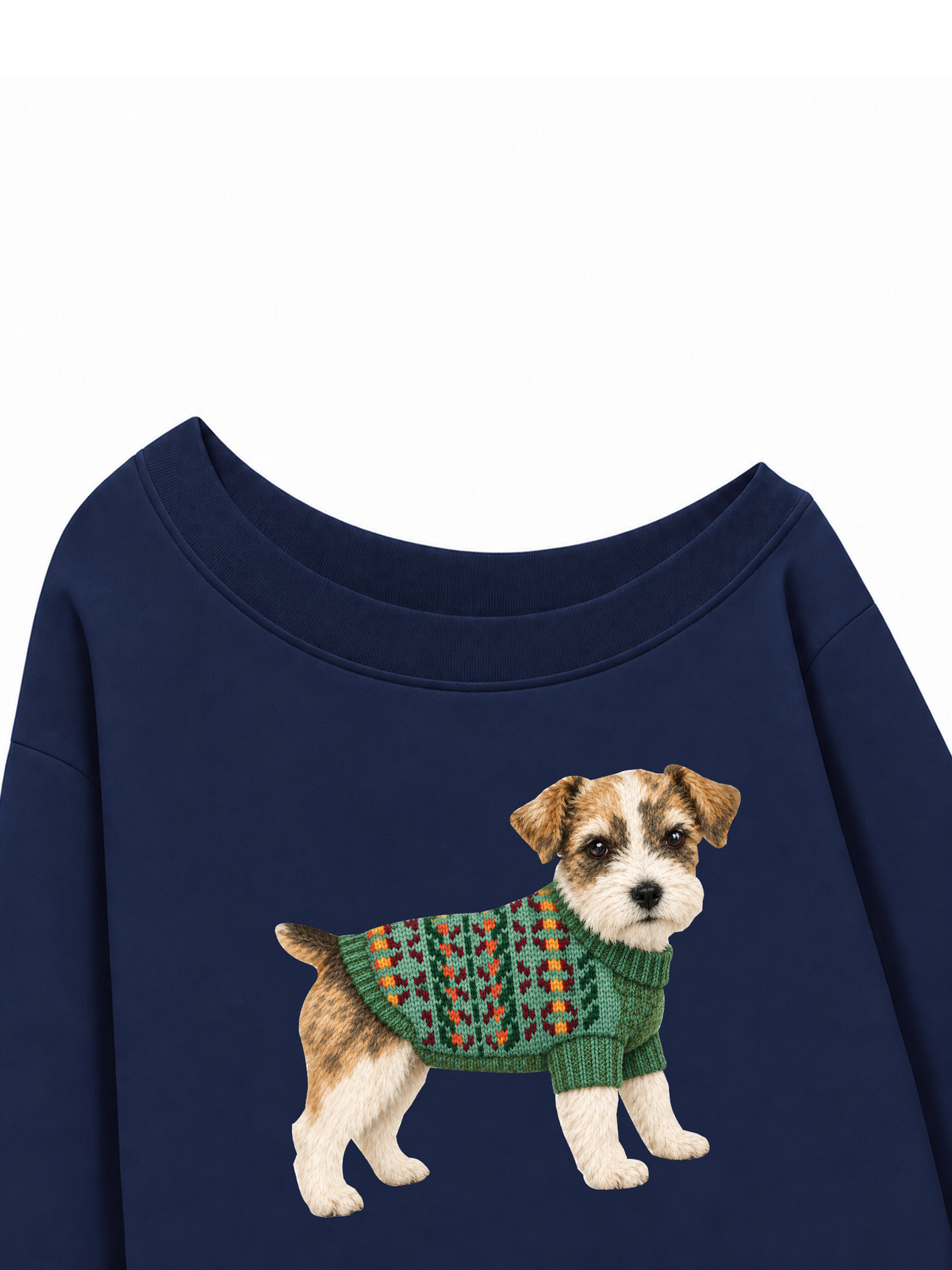 Áo Sweater Lệch Vai Nỉ Hai Da Little Buddy