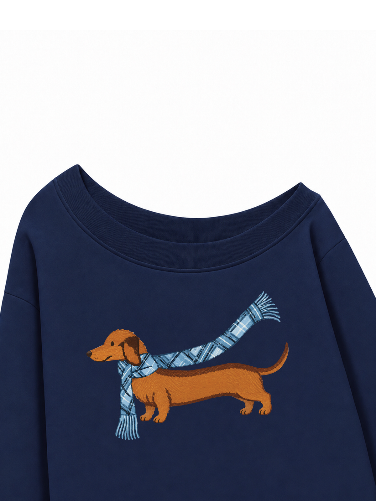 Áo Sweater Lệch Vai Nỉ Hai Da  Blue Plaid Outfit Puppy