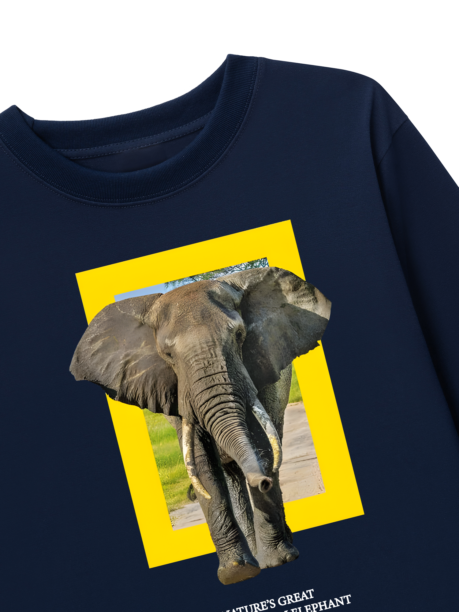 Áo Thun Dài Tay Wild Life Nature's Great