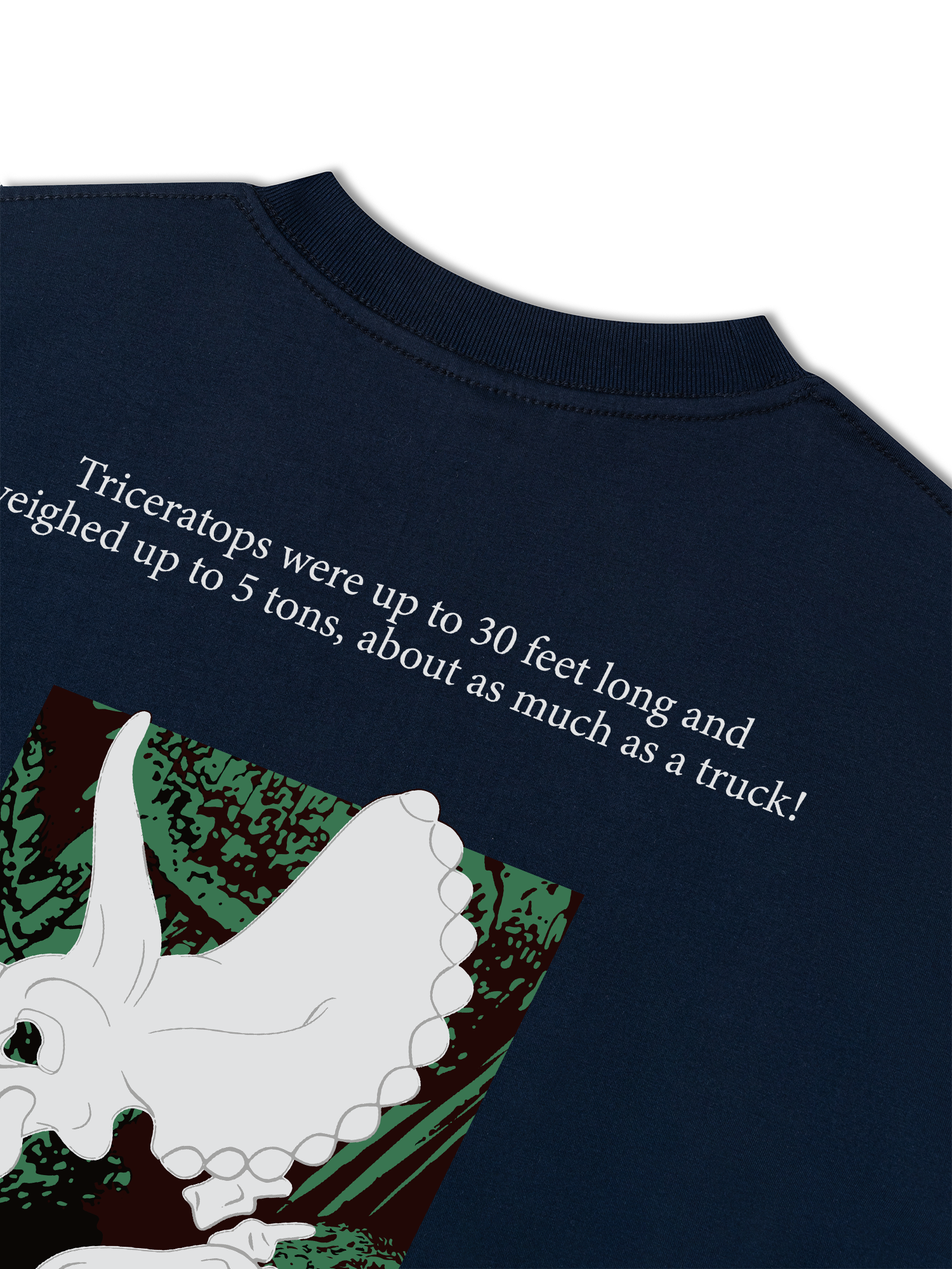 Áo Thun Relaxed Fit Triceratops