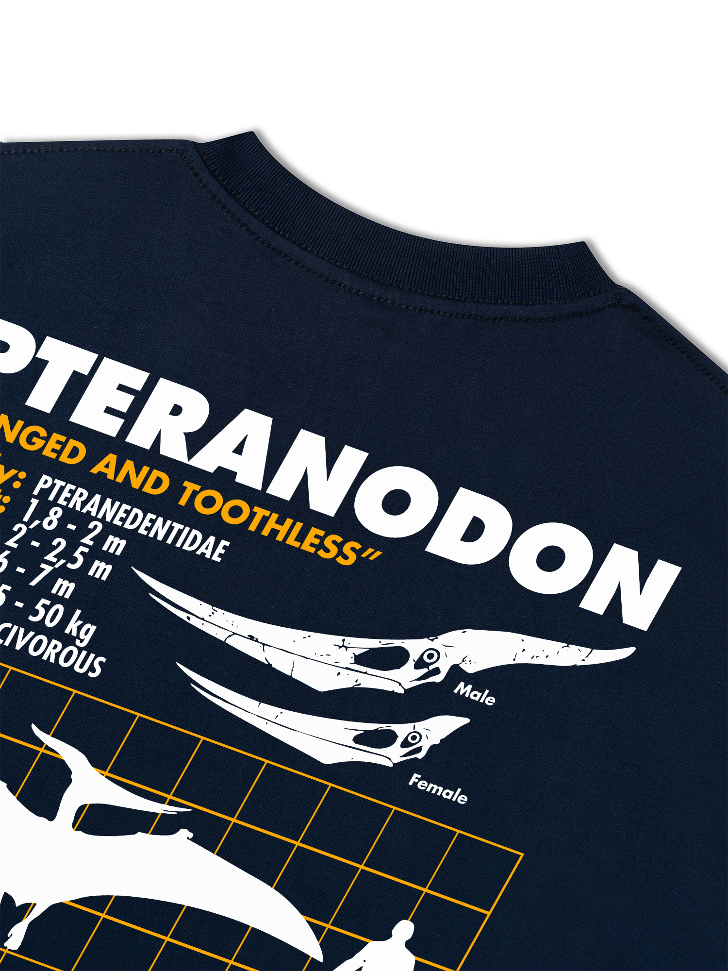 Áo Thun Relaxed Fit Analysis Table Pteranodon