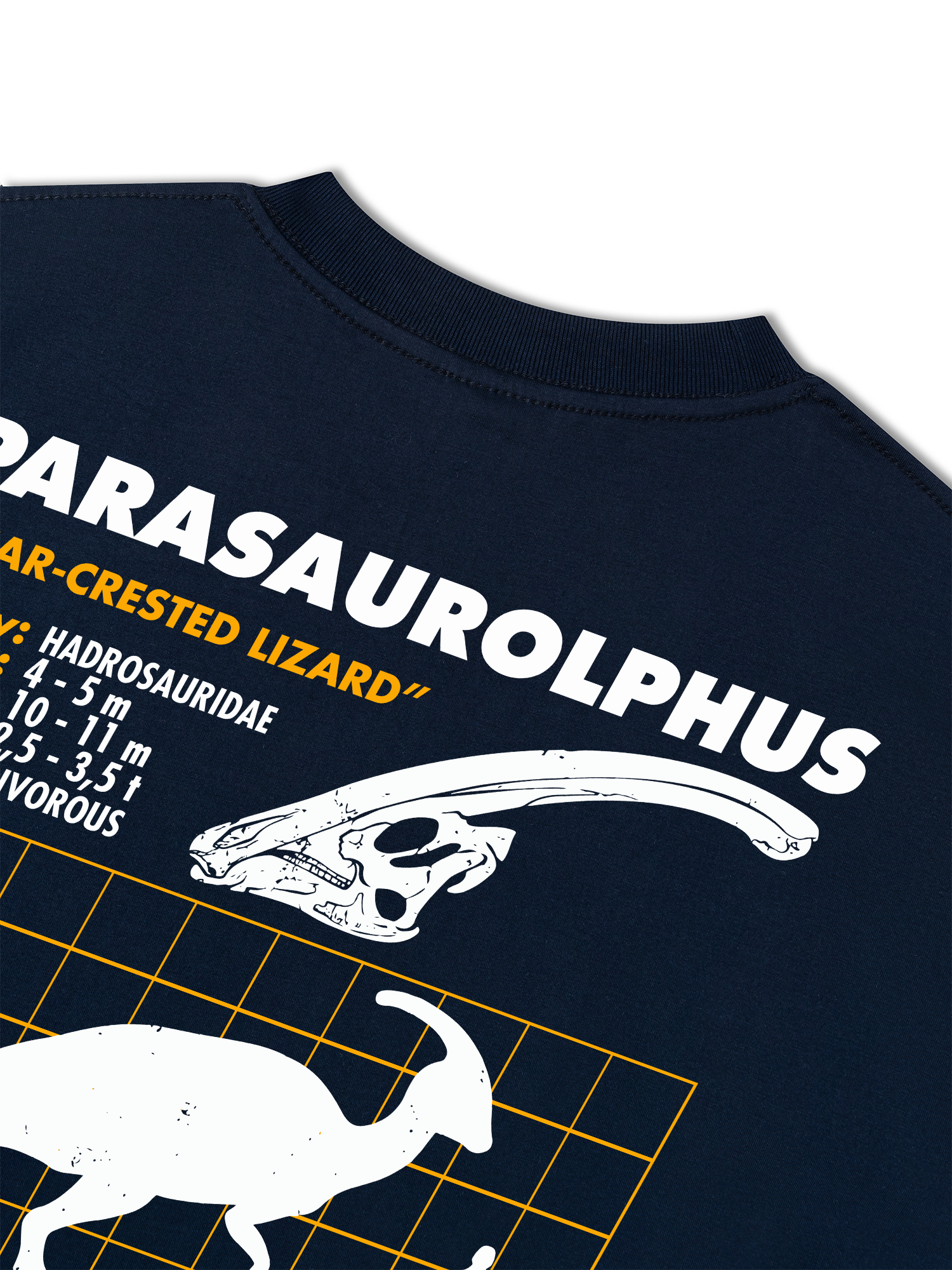 Áo Thun Relaxed Fit Analysis Table Parasaurolphus